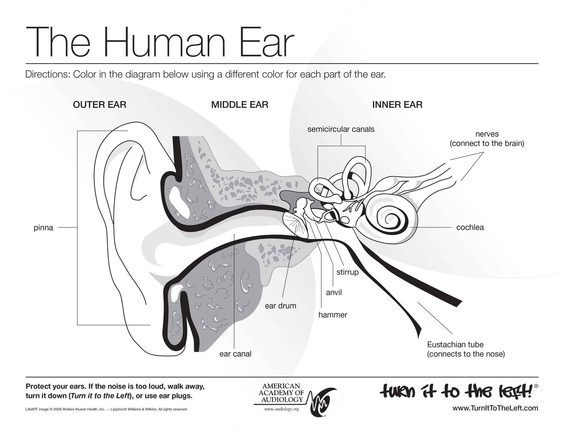 Speech Hearing Coloring Pages Science Fest