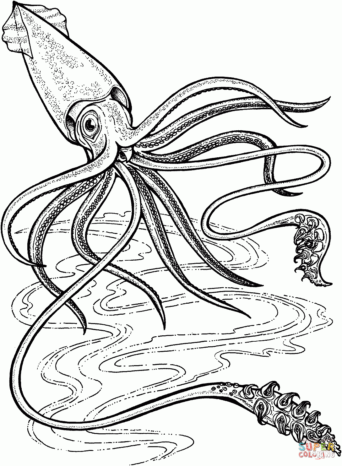 Squid Coloring Pages To Download And Print For Free