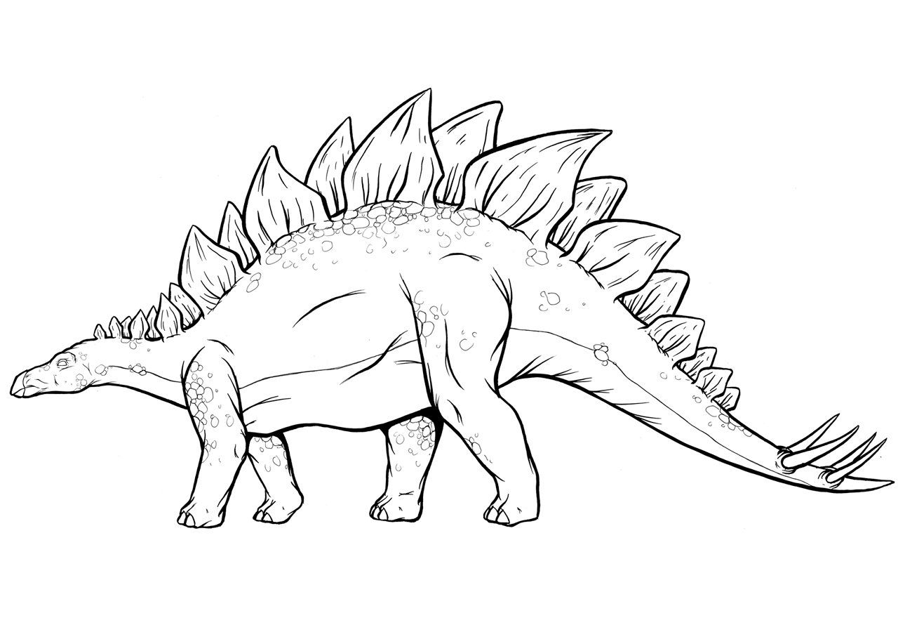 Stegosaurus Coloring Pages Dinosaur Coloring Pages Dinosaur Coloring Dinosaur Coloring Sheets