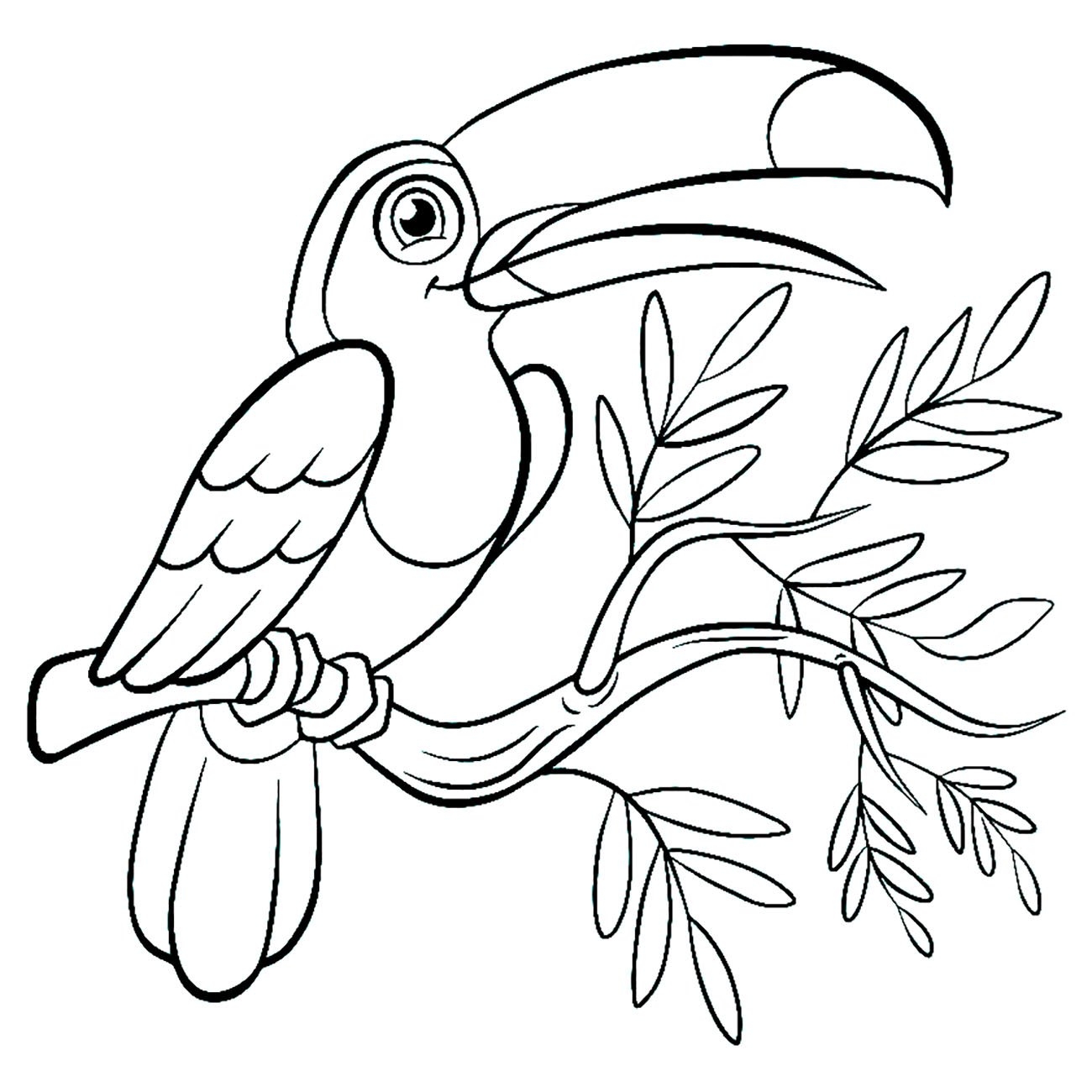 Toucan Bird Coloring Pages For Kids
