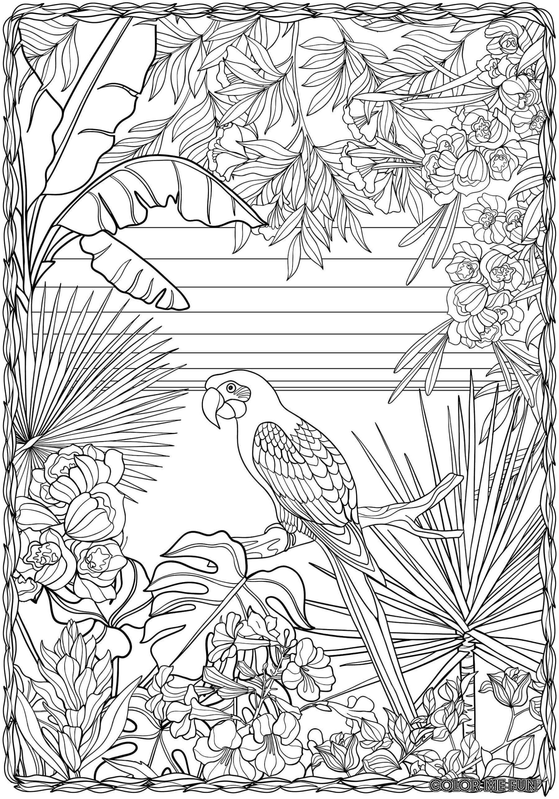 TROPICAL Coloring Poster For Kids And Adults In 2021 Coloring Pages Nature Ocean Coloring