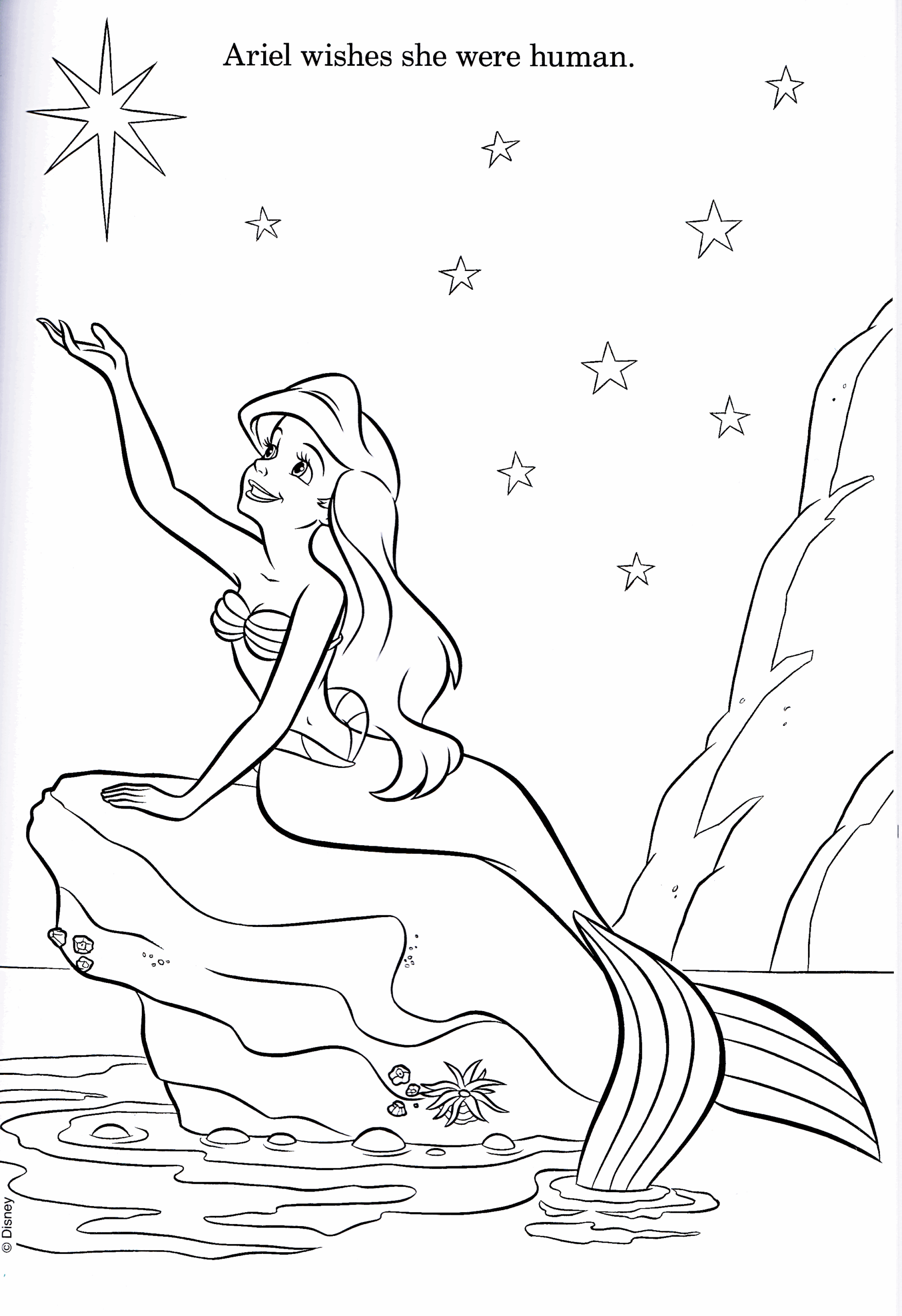 Walt Disney Coloring Pages Princess Ariel Walt Disney Characters Photo 38135735 Fanpop