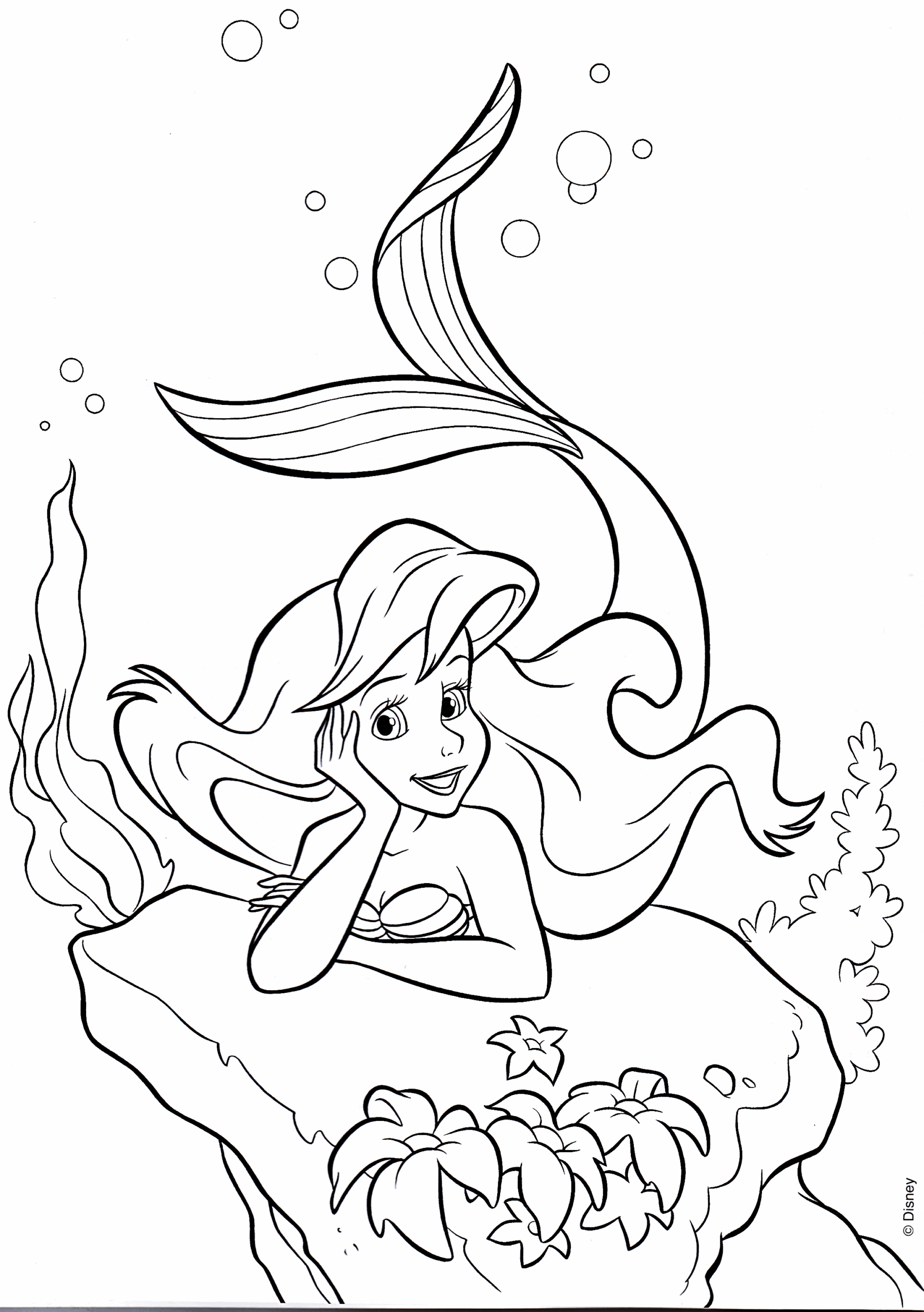 Walt Disney Coloring Pages Princess Ariel Walt Disney Characters Photo 38135760 Fanpop
