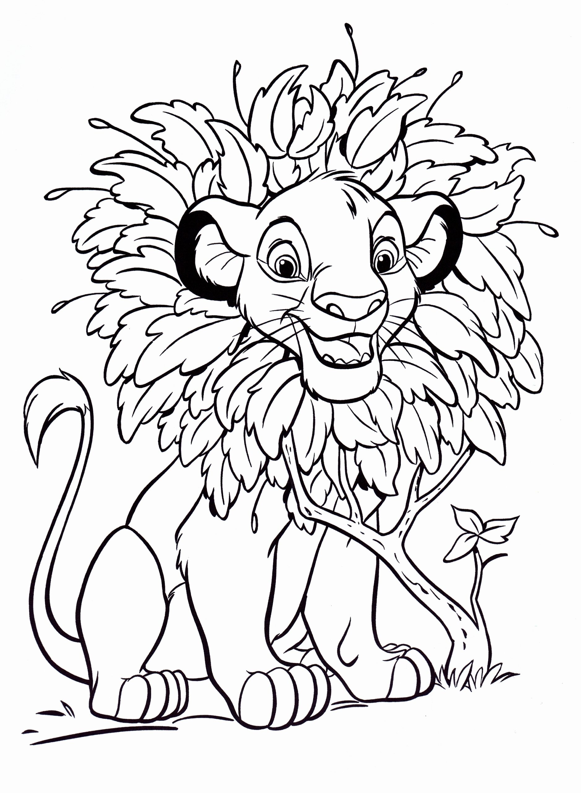 Walt Disney Coloring Pages Simba Walt Disney Figuren Foto 34267012 Fanpop