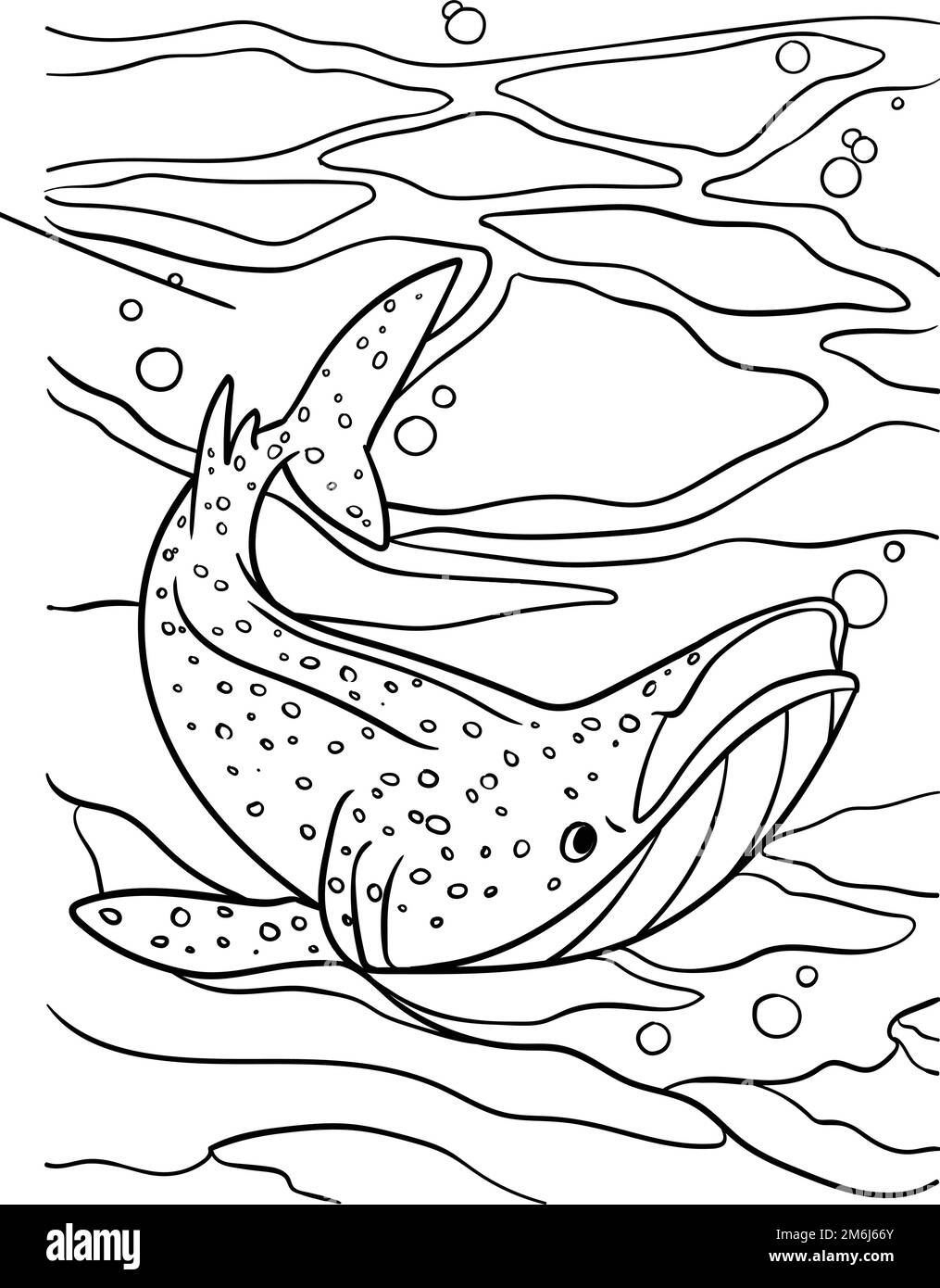 Whale Shark Coloring Page For Kids Stock Vector Image Art Alamy