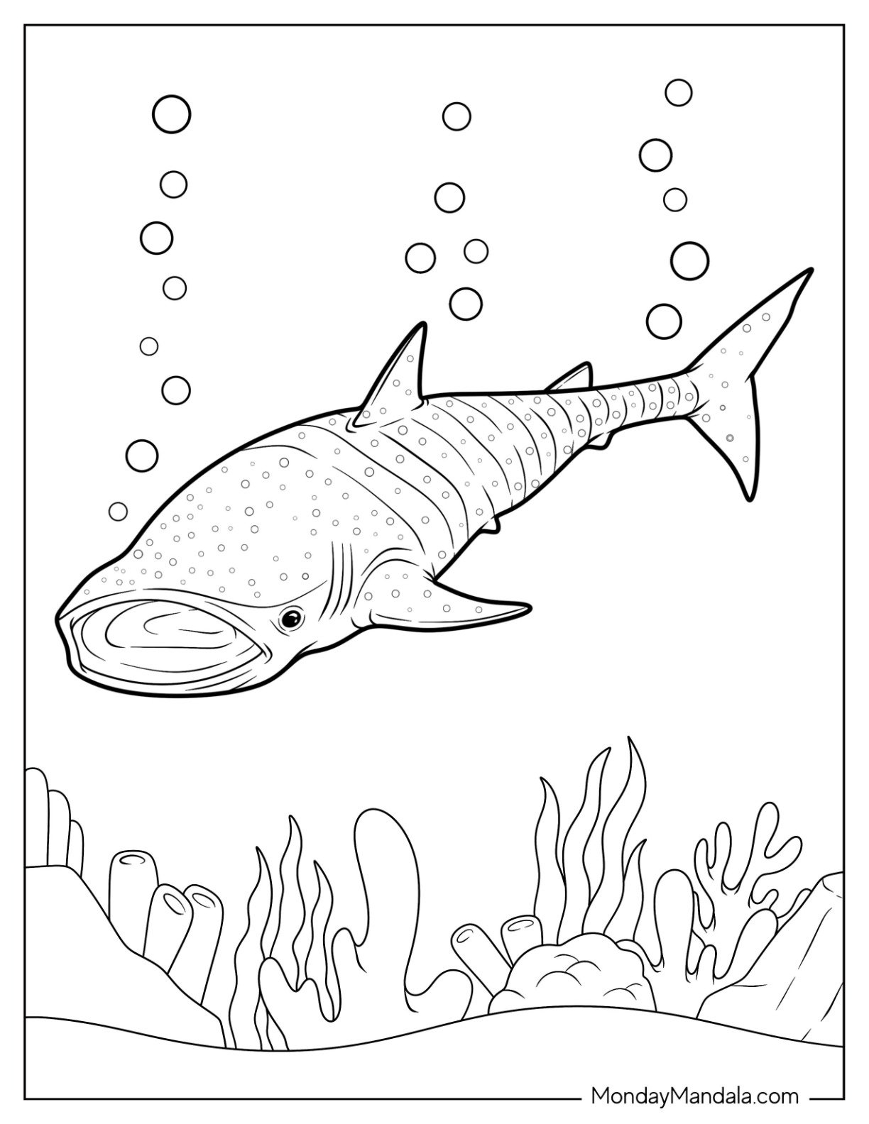 Whale Shark Coloring Page