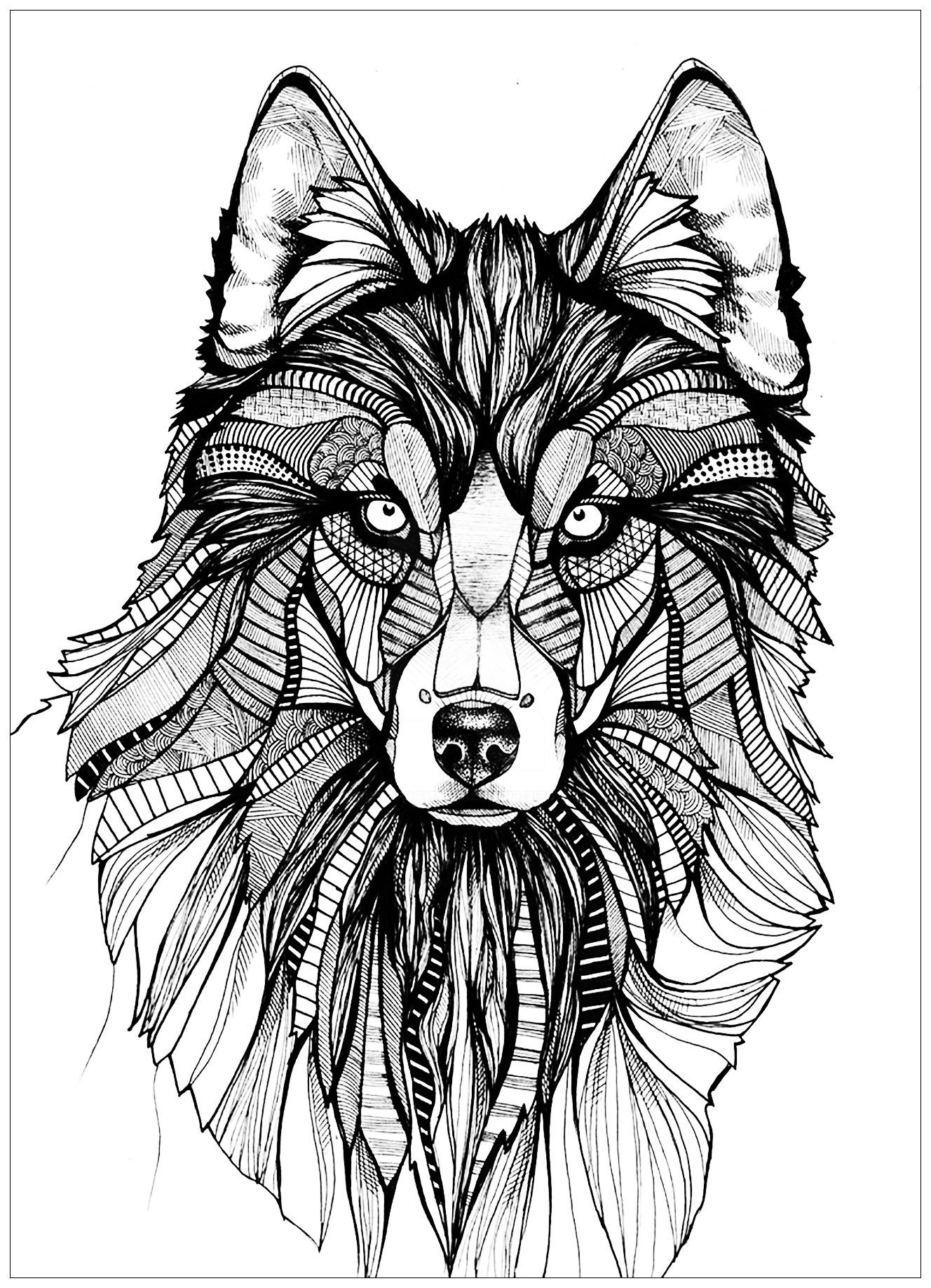 Wolf 3 Wolves Adult Coloring Pages
