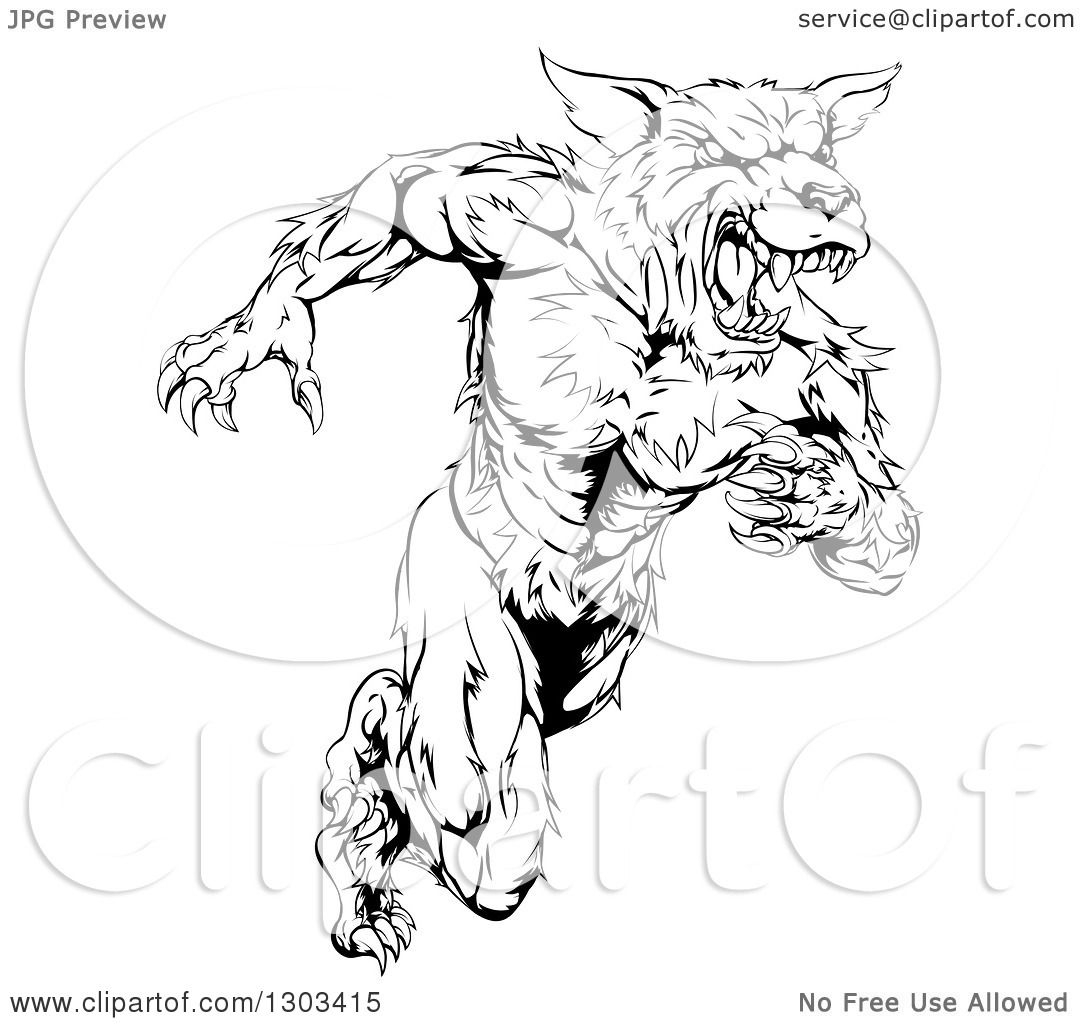 Wolf Black And White Drawing At GetDrawings Free Download