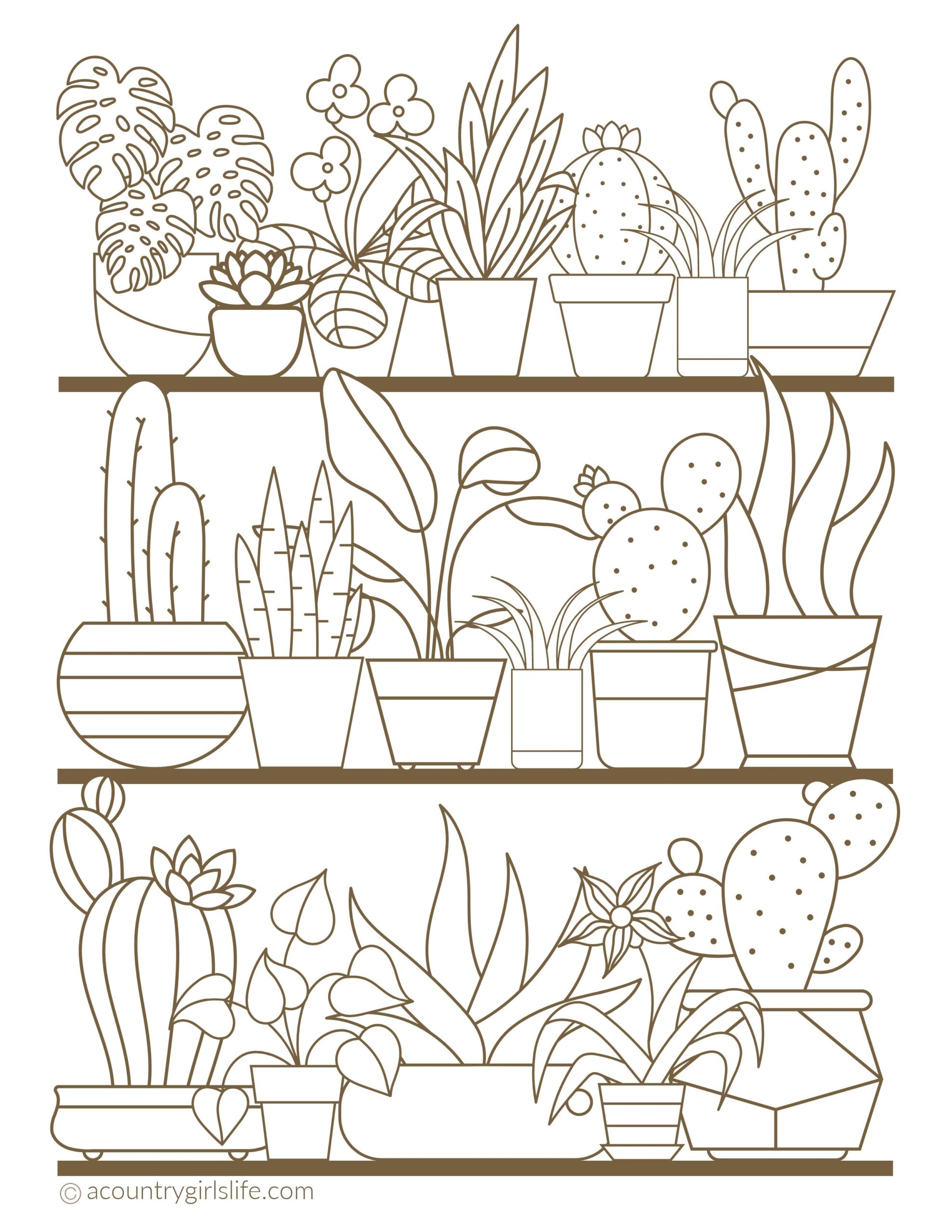 15 Plant Colouring Pages Ideas Drawforkid