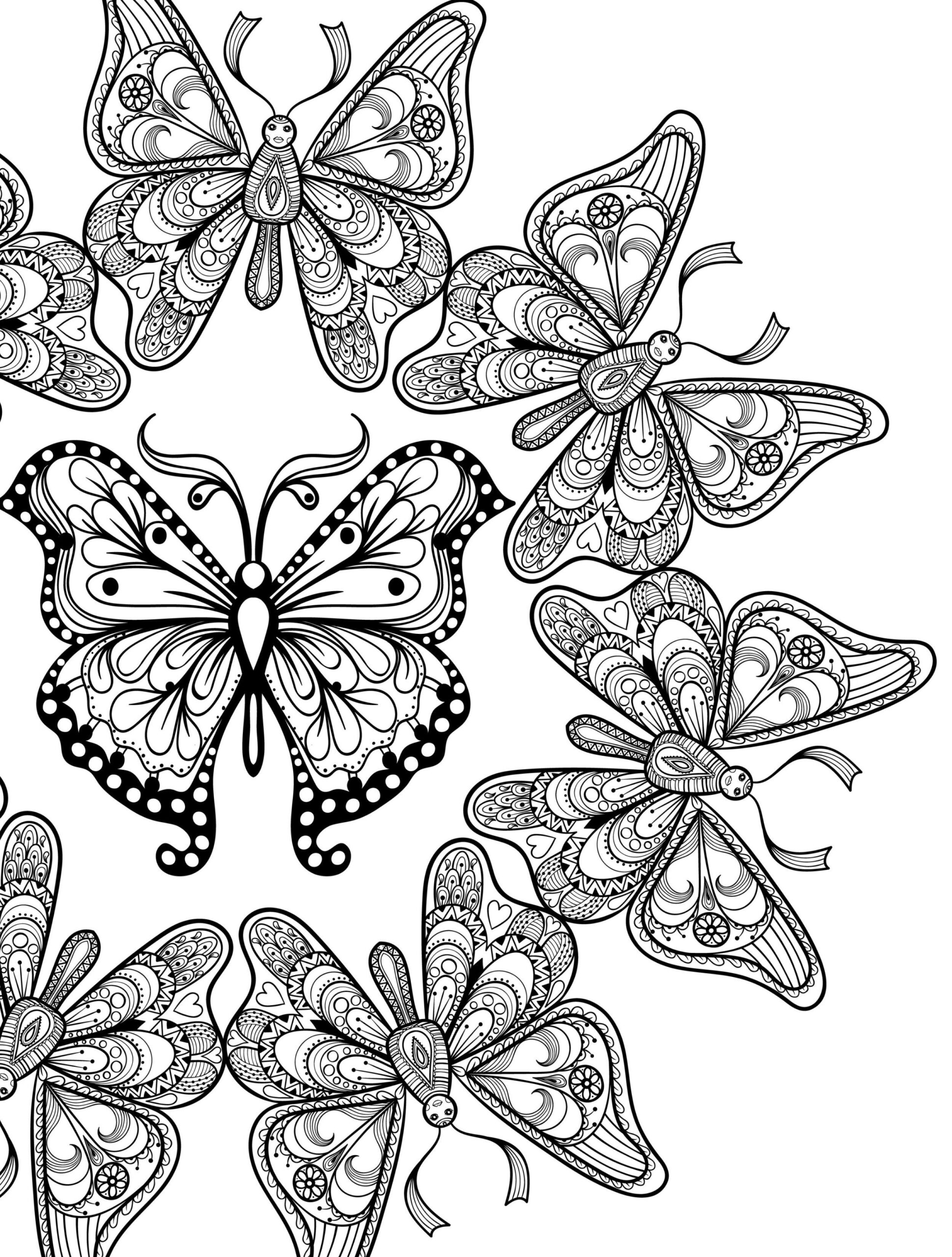 23 Free Printable Insect Animal Adult Coloring Pages Butterfly Coloring Page Mandala