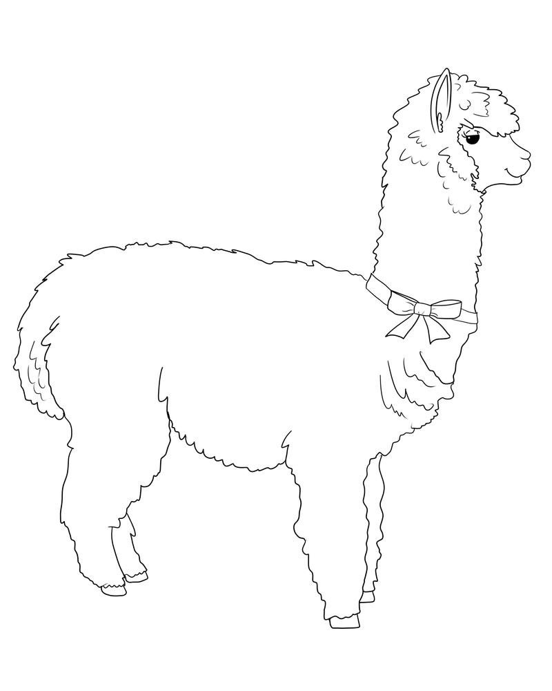 26 Best Ideas For Coloring Alpaca Coloring Pictures To Print