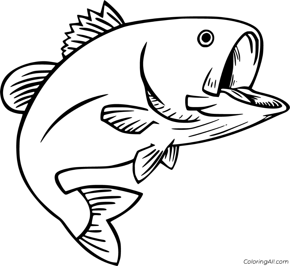 43 Printable Bass Fish Coloring Pages Information