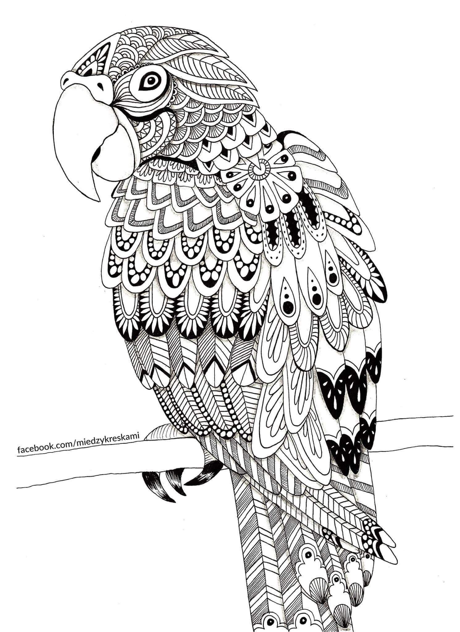 Mandala Animal Coloring Pages