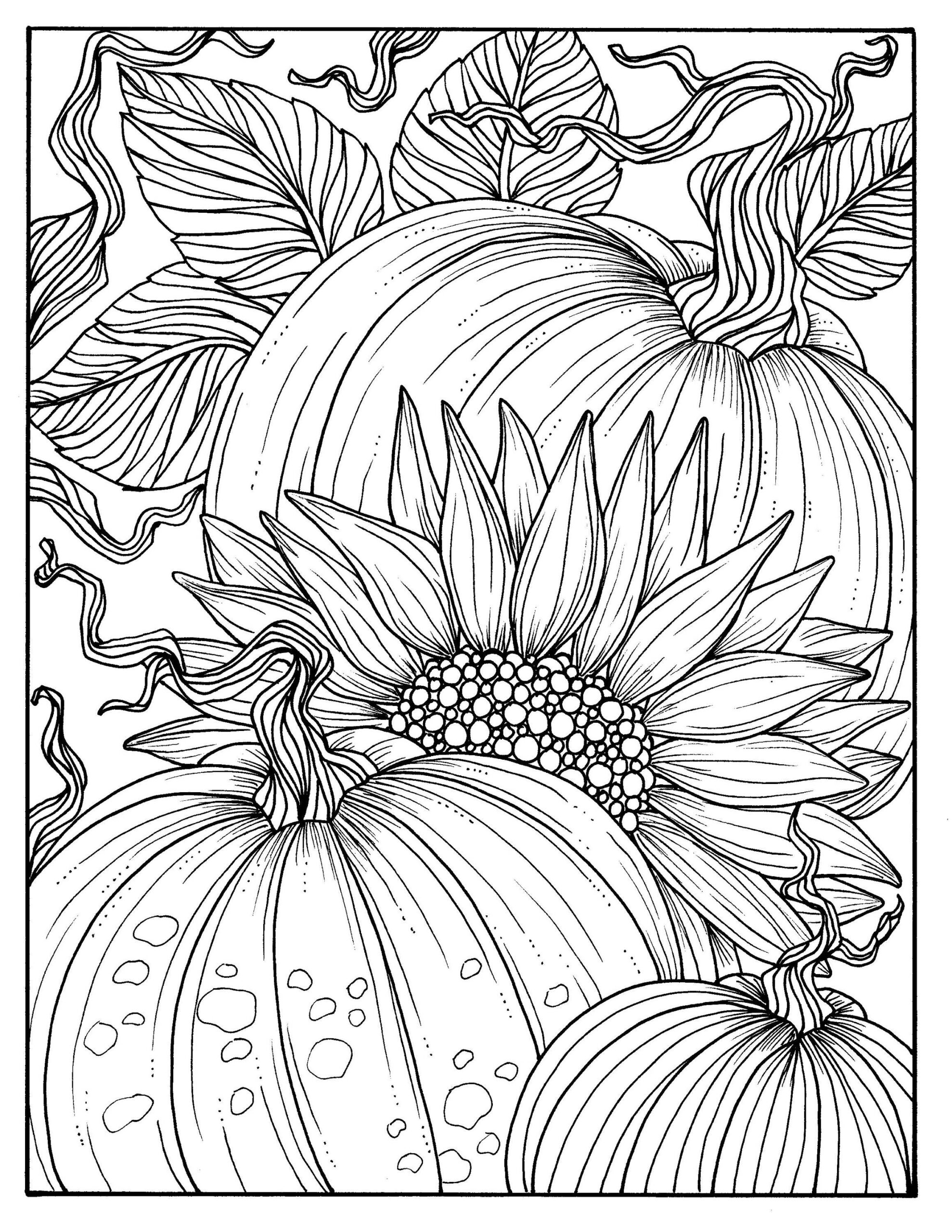 5 Pages Fabulous Fall Digital Downloads To Color Punpkins Etsy Pumpkin Coloring Pages Fall