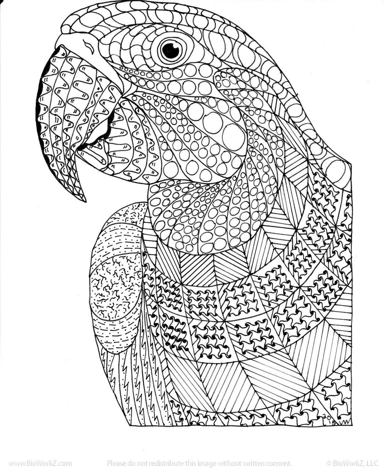 51 Coloring Page Zentangle Peacock Coloring Pages Detailed Coloring Pages Abstract Coloring