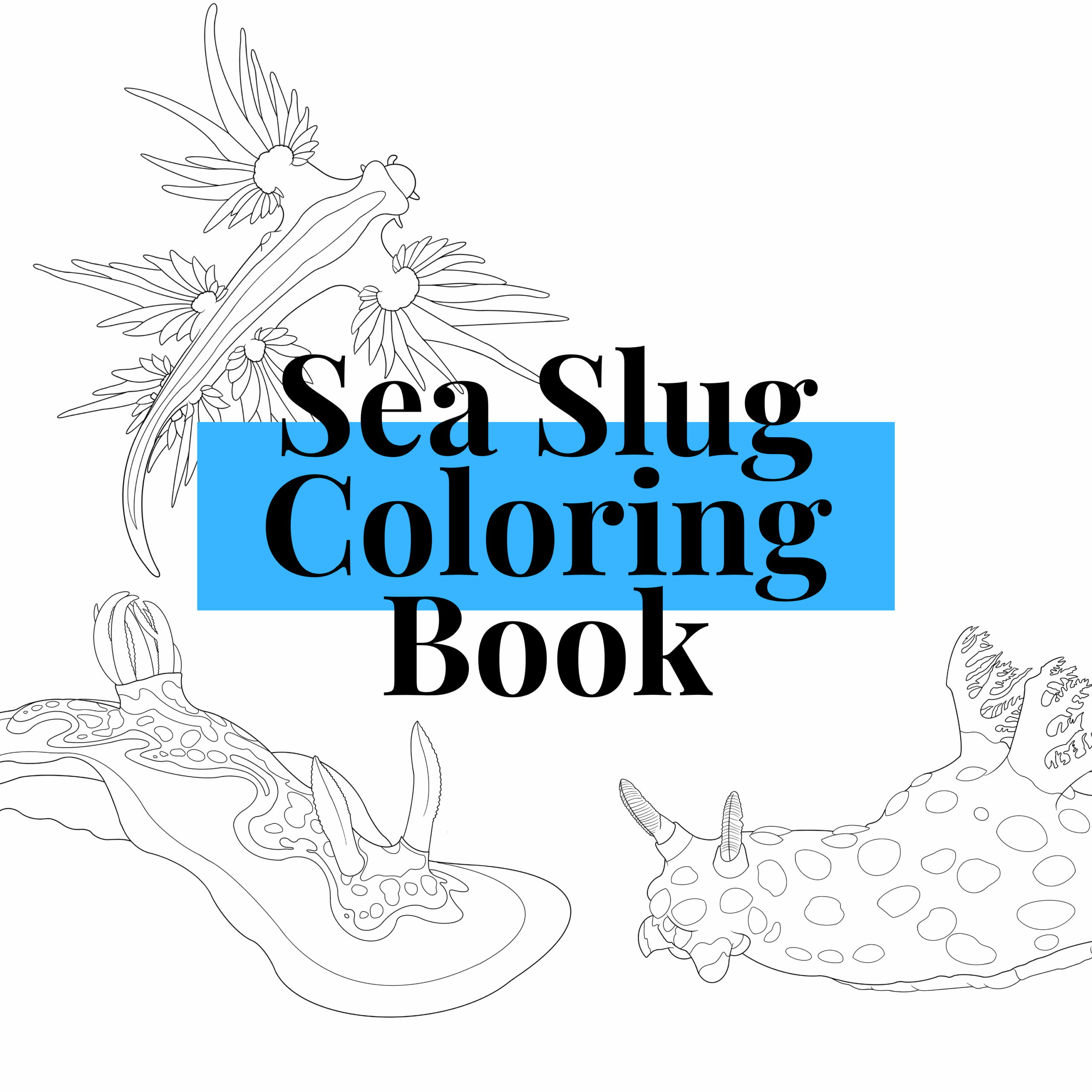 A Coloring Book With Various Nudibranch Sea Slugs Great For Any Ages To Enjoy This Digital