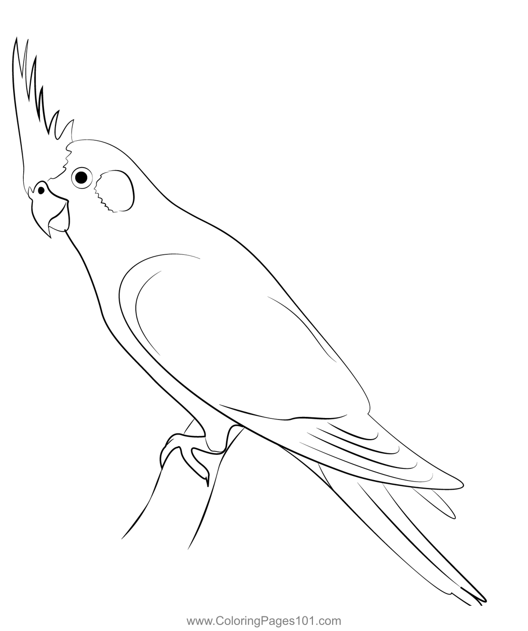 A Cute Cockatiel Coloring Page For Kids Parrots Printable Coloring Page Online For Kids