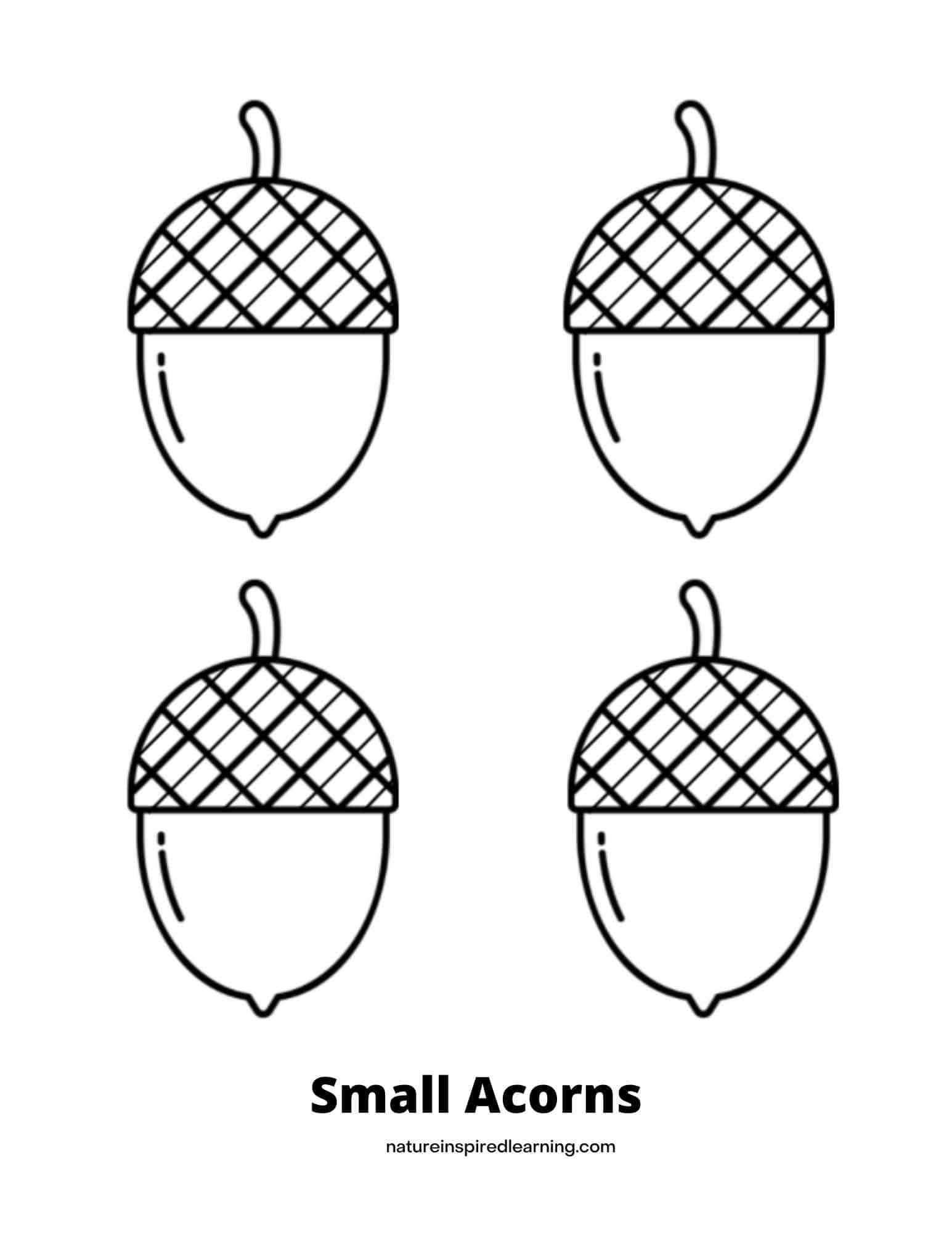 Acorn Coloring Pages Perfect For Autumn Nature Inspired Learning