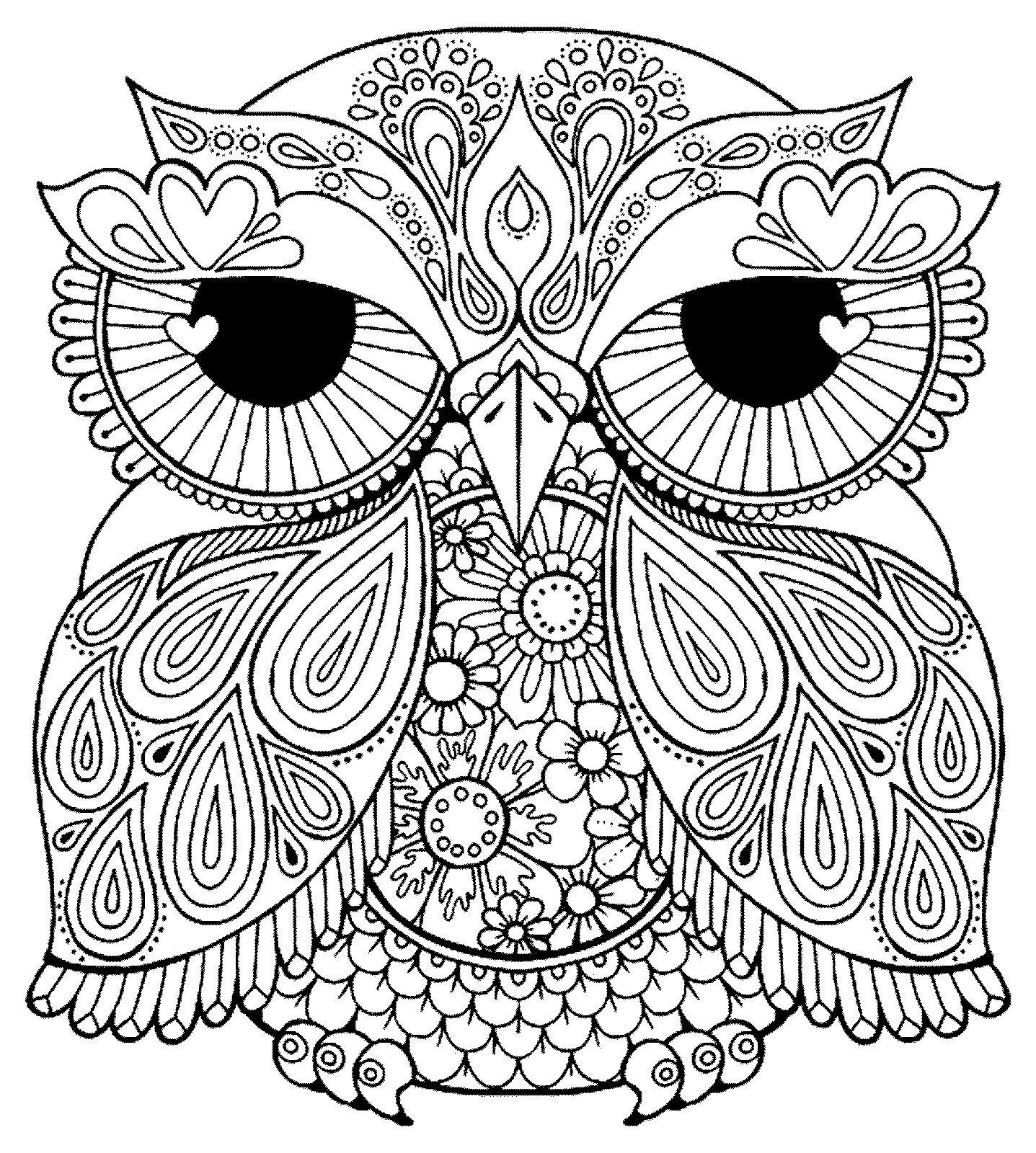 Adult Coloring Pages Birds At GetDrawings Free Download