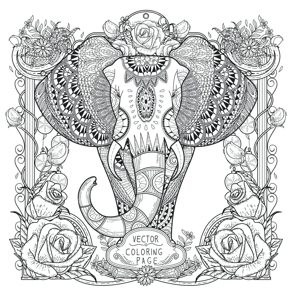 Adult Coloring Pages Printable Elephant At GetColorings Free Printable Colorings Pages To