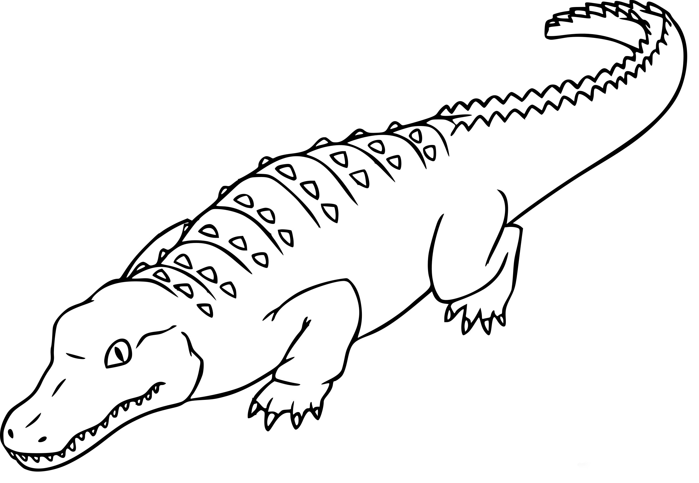 Alligator Printable Coloring Pages