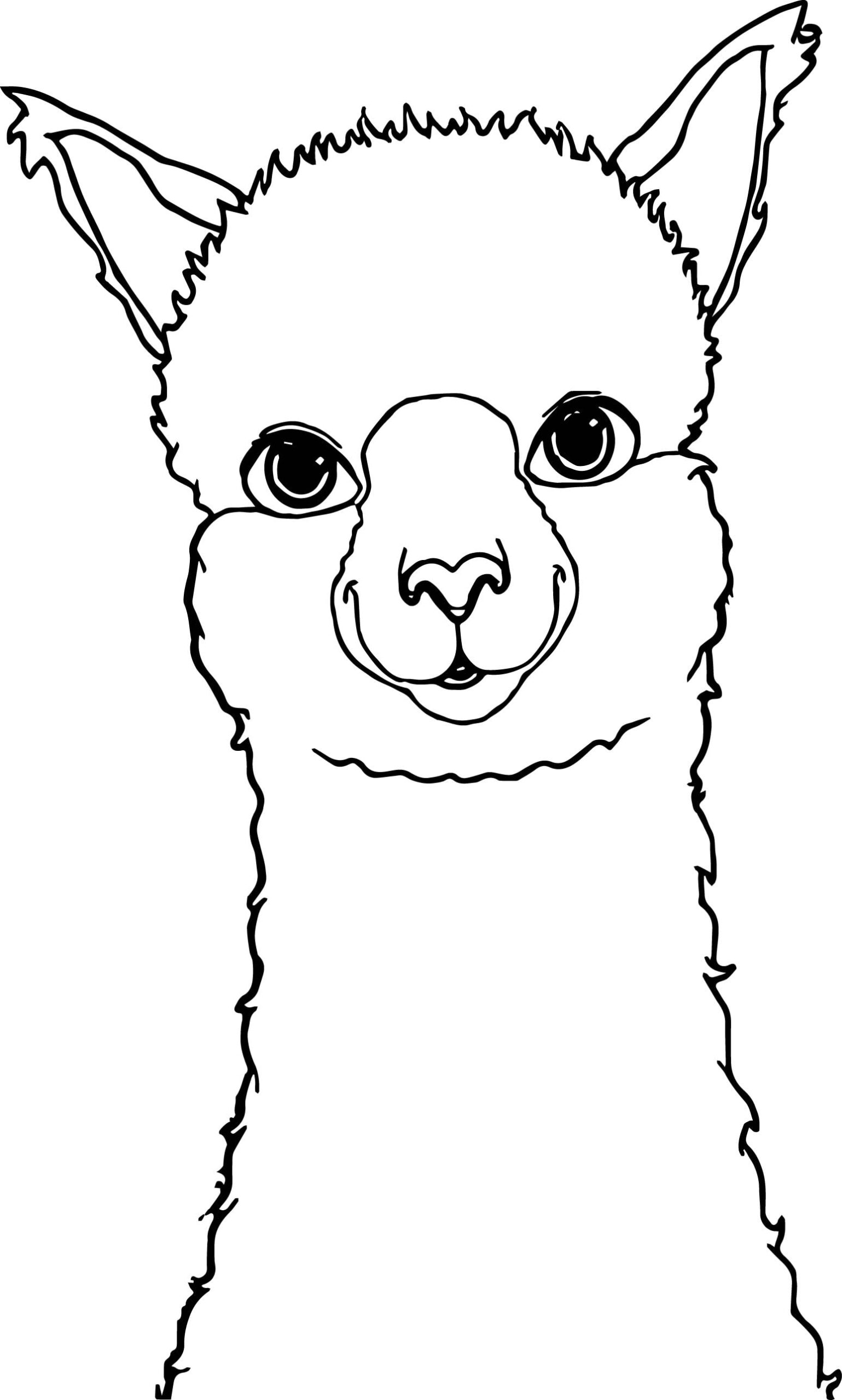 Alpaca Drawing Coloring Page Wecoloringpage