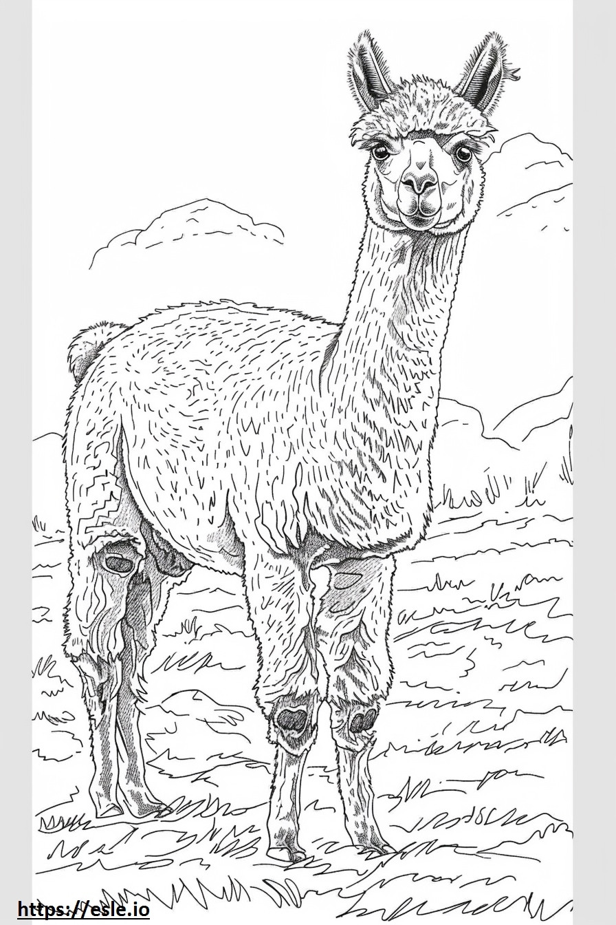 Alpaca Playing Coloring Page