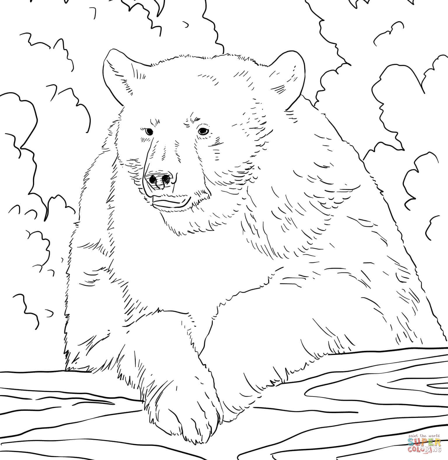 American Black Bear Coloring Page Coloring Home