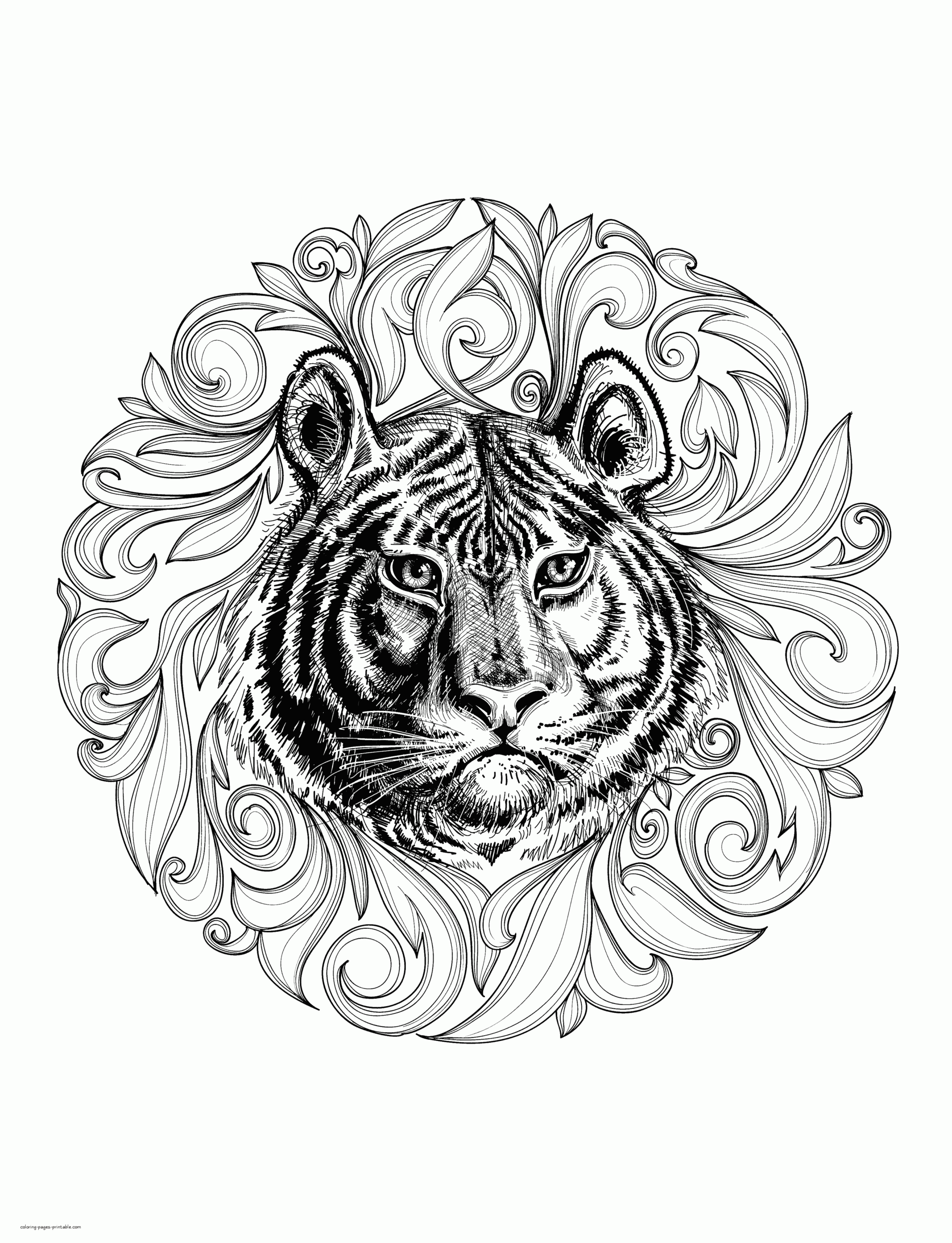 Animal Coloring Pages For Adults Realistic Tiger COLORING PAGES PRINTABLE COM