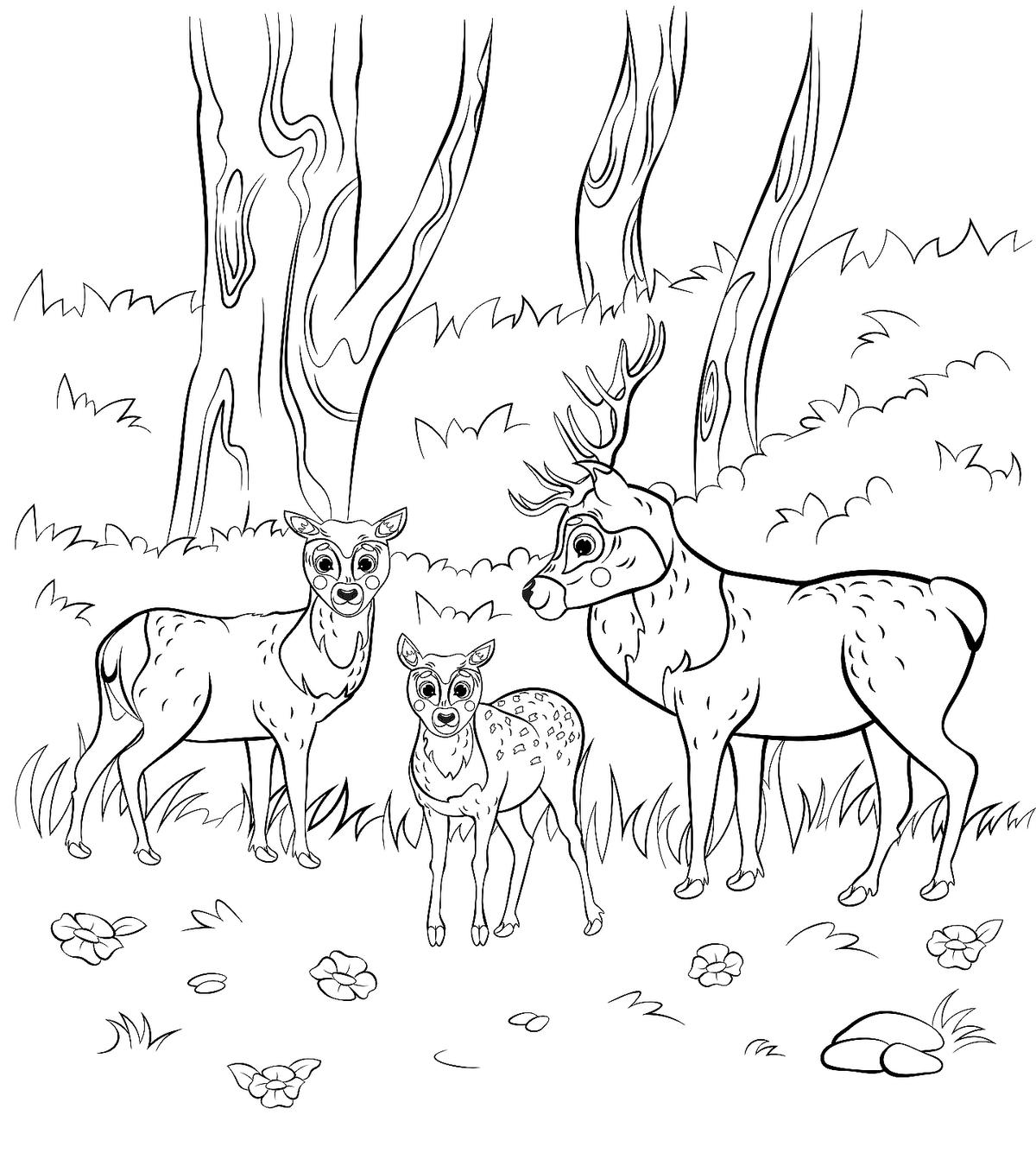 Animal Families Coloring Pages Free Fun Printable Coloring Pages Of Animal Families For