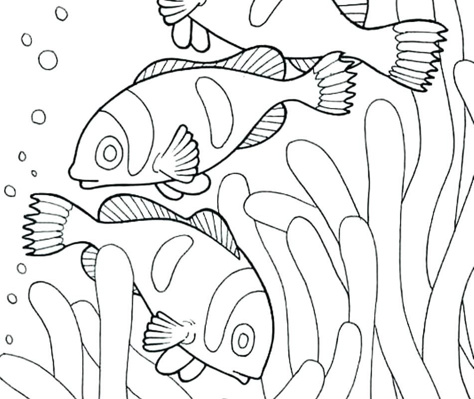 Free Printable Habitat Coloring Pages
