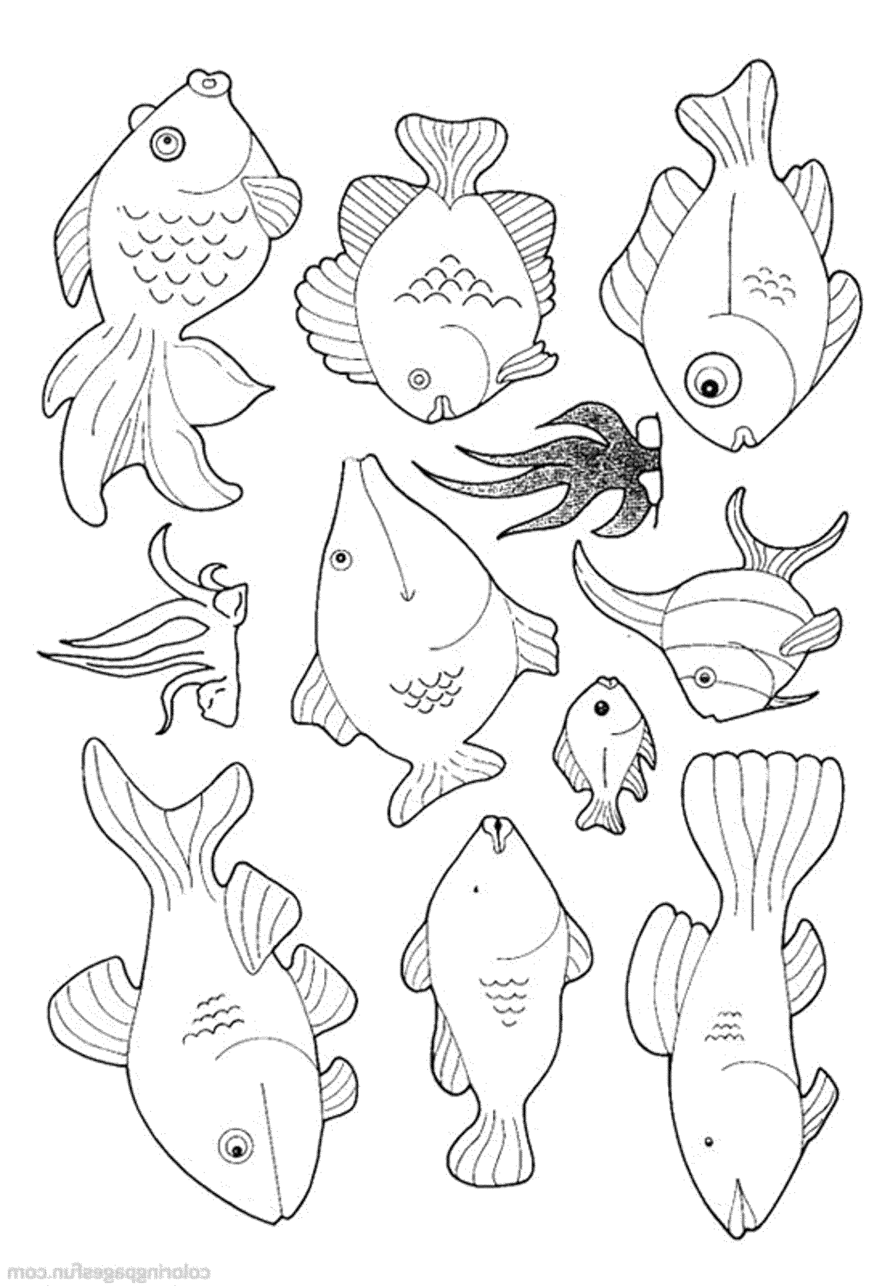 Aquarium Fish Coloring Pages At GetDrawings Free Download