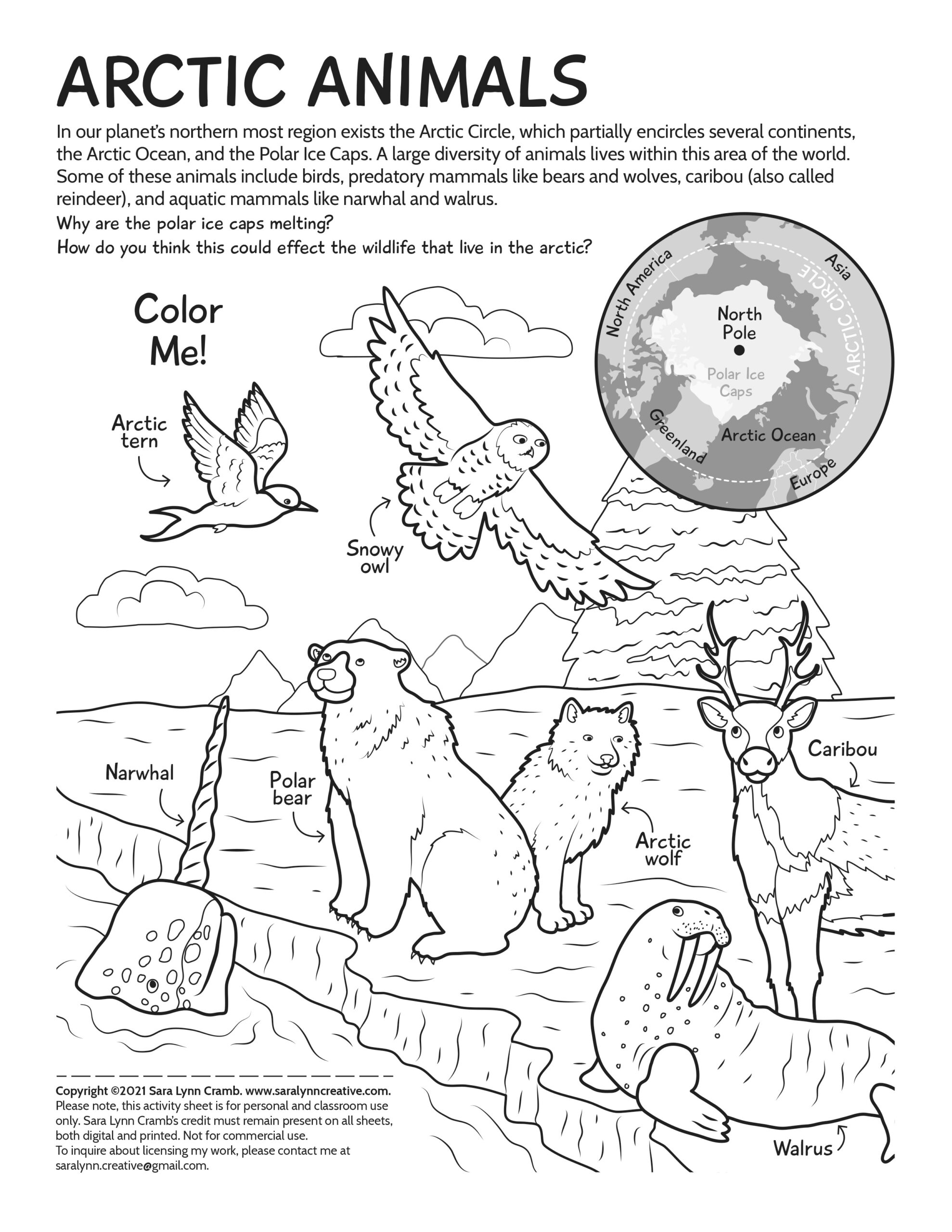 Arctic Animals Coloring Page By Sara Lynn Cramb On Dribbble