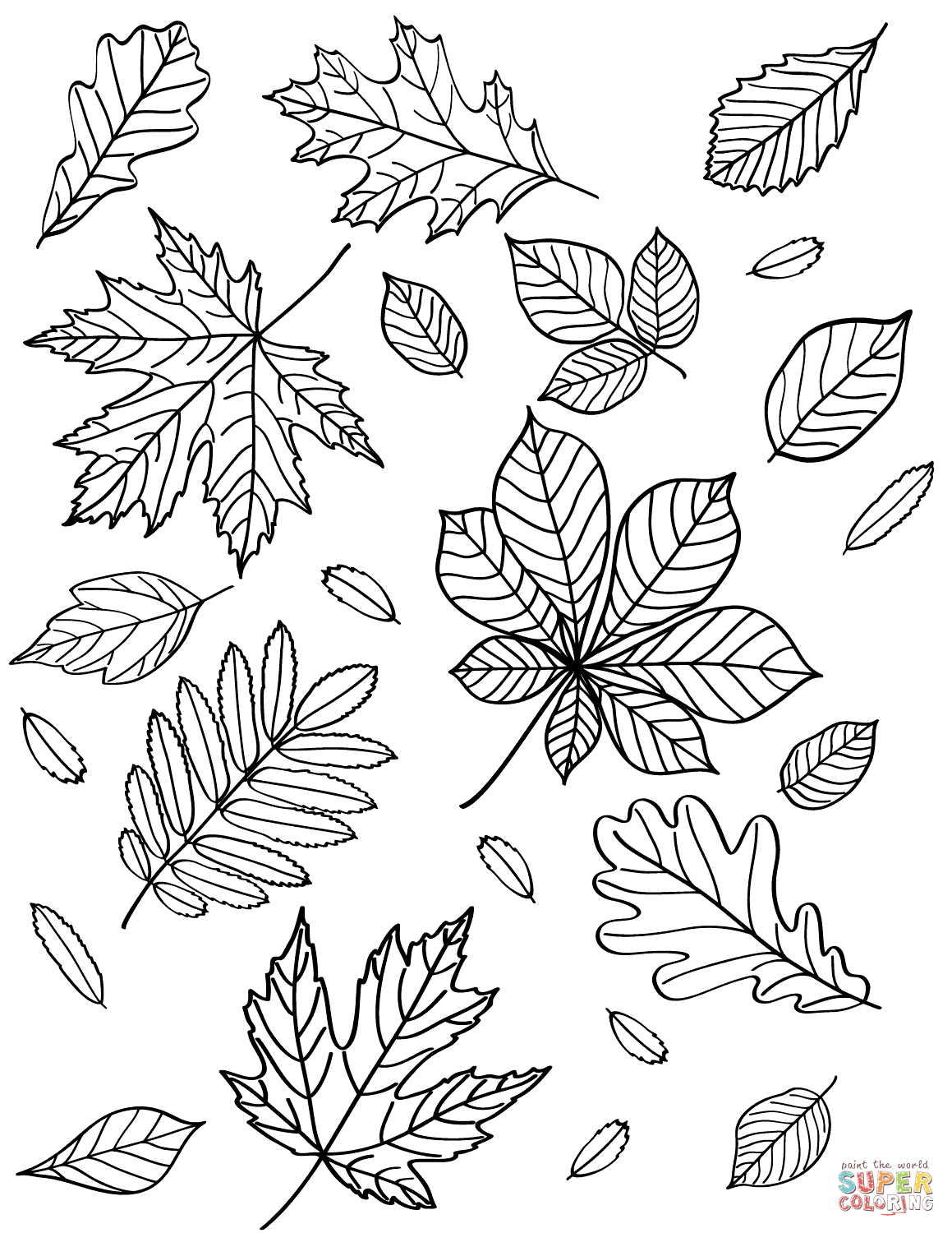 Autumn Leaves Coloring Page Free Printable Coloring Pages Leaf Coloring Page Fall Leaves