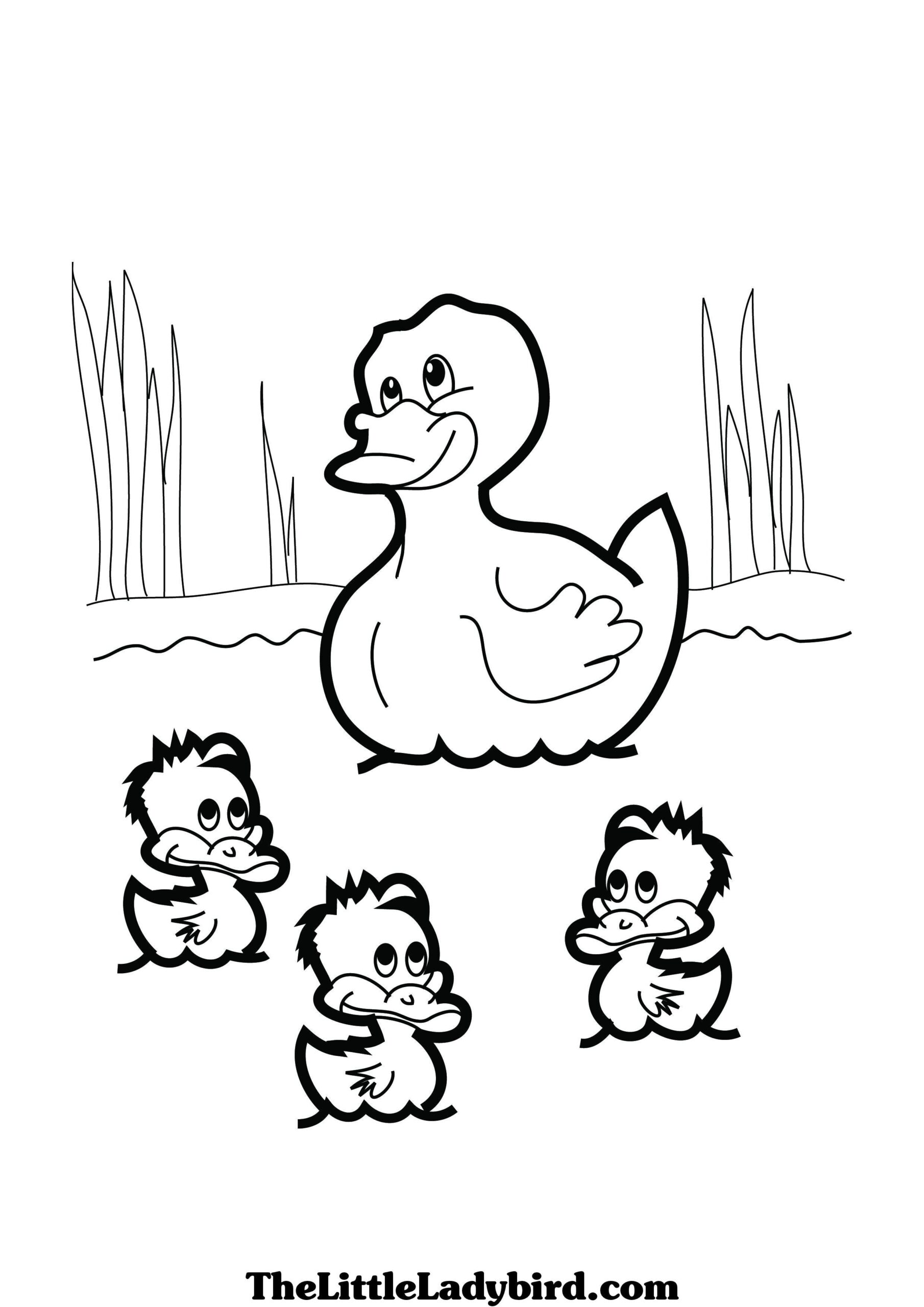 Duck Coloring Pages