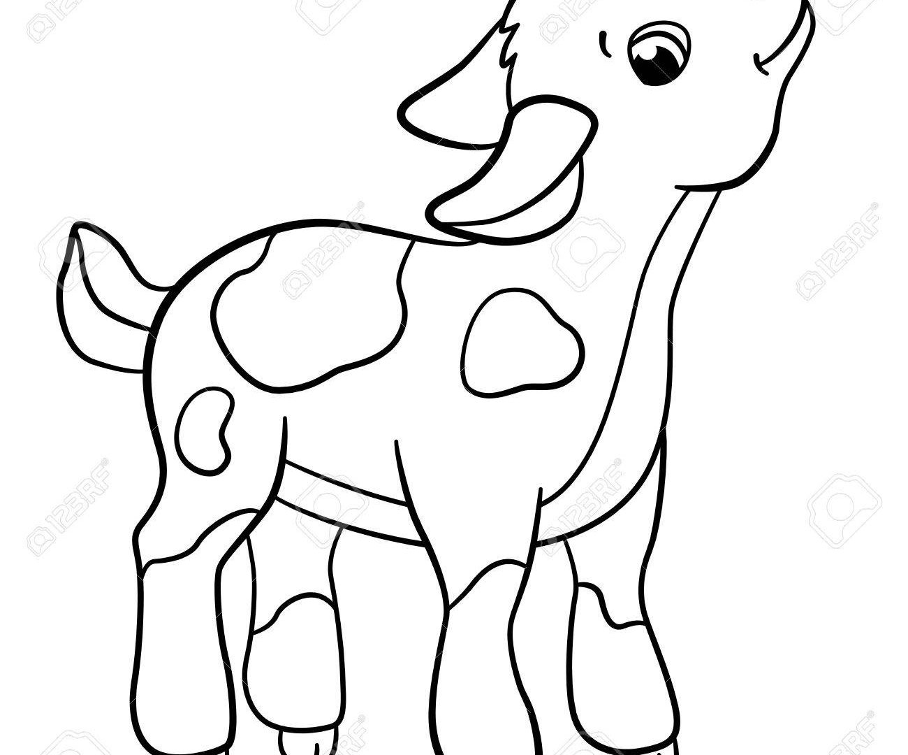 Baby Goat Drawing Sketch Coloring Page
