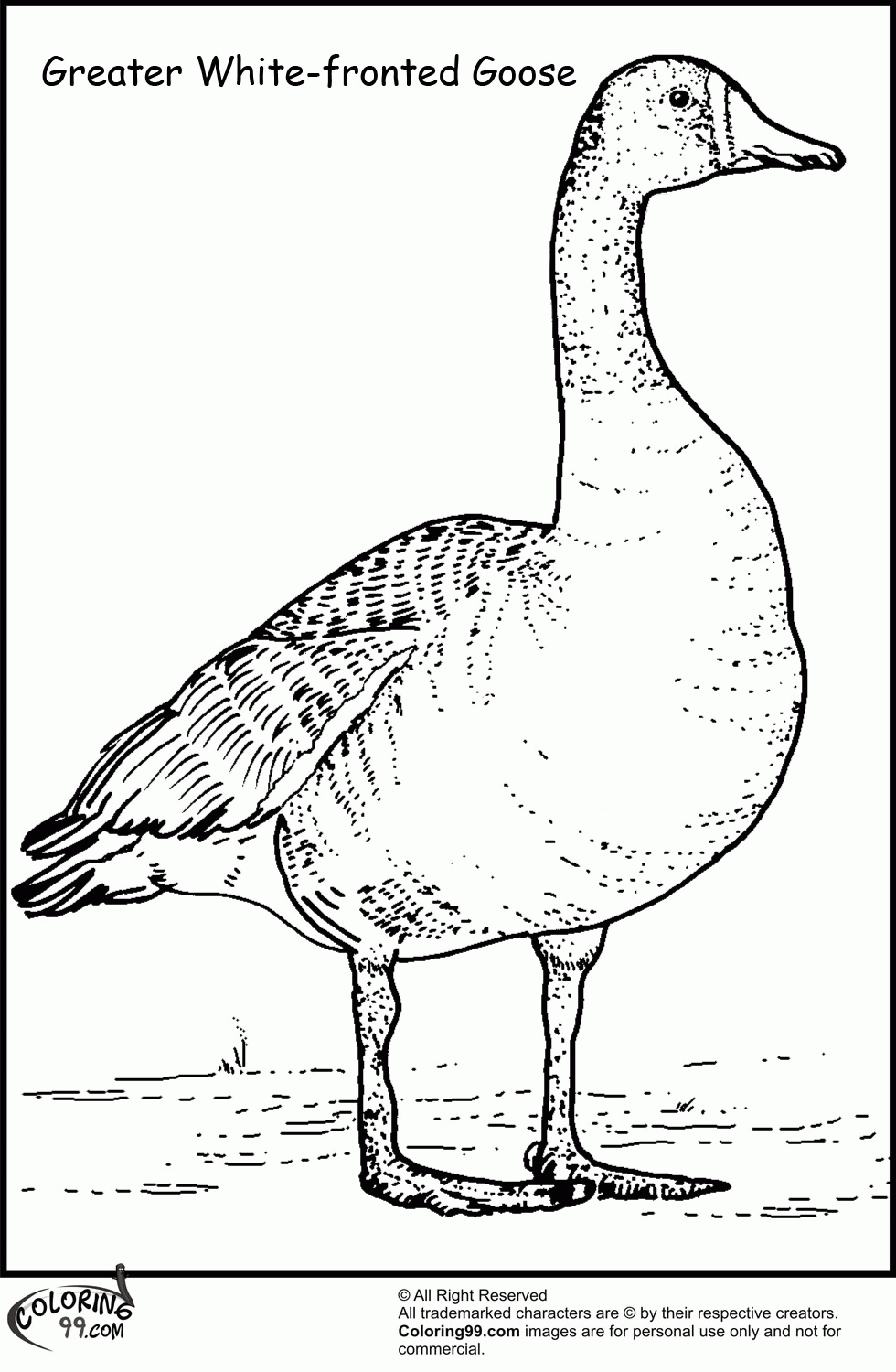 Baby Goose Coloring Page Coloring Home