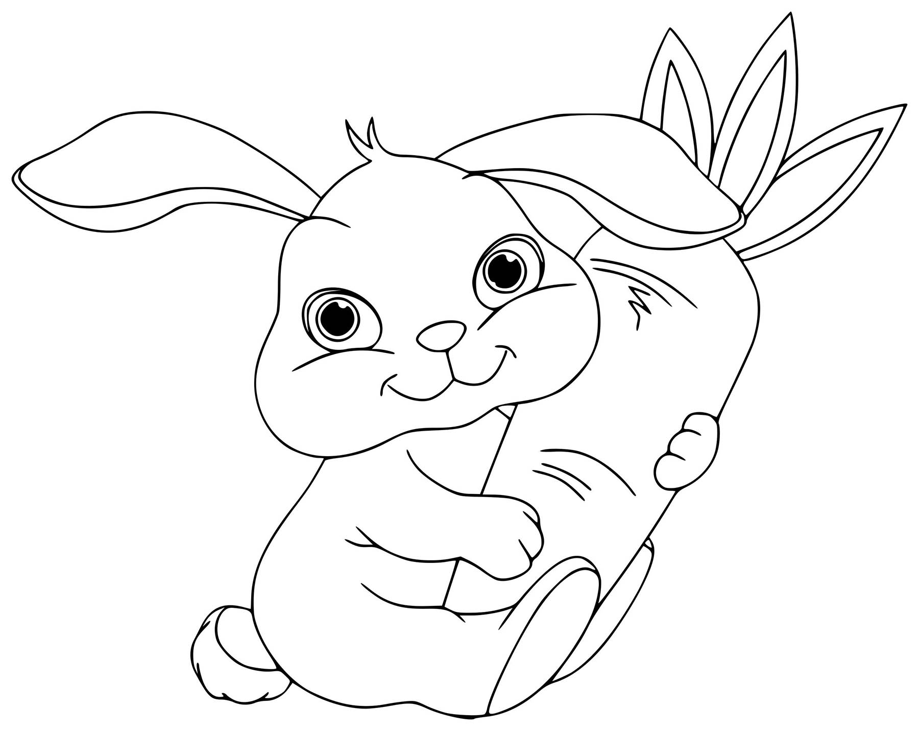 Baby Rabbit Rabbit Bunny Coloring Pages For Kids