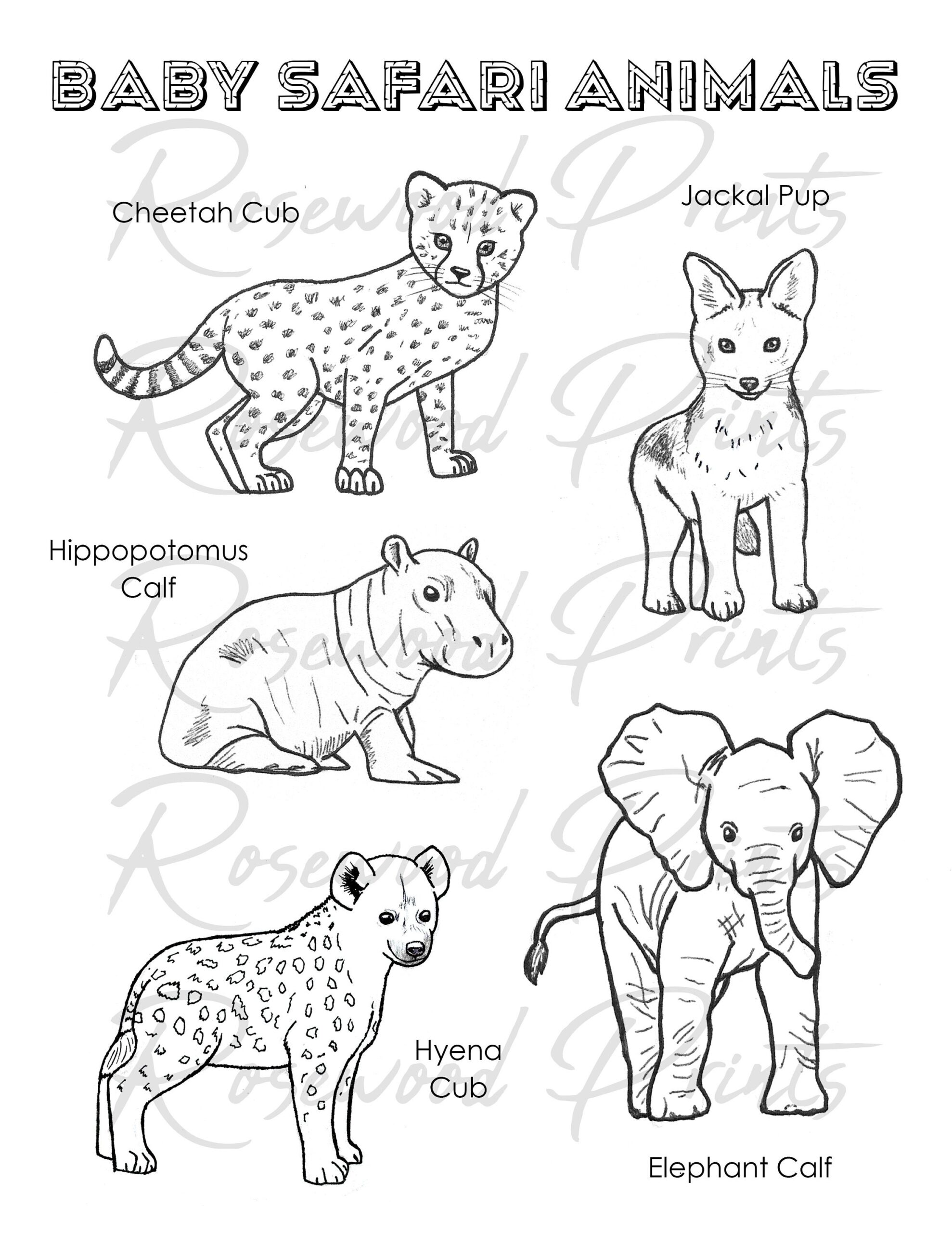 Baby Safari Animals Coloring Pages Etsy Australia