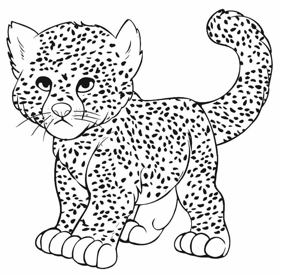 Baby Snow Leopard Coloring Pages At GetColorings Free Printable Colorings Pages To Print