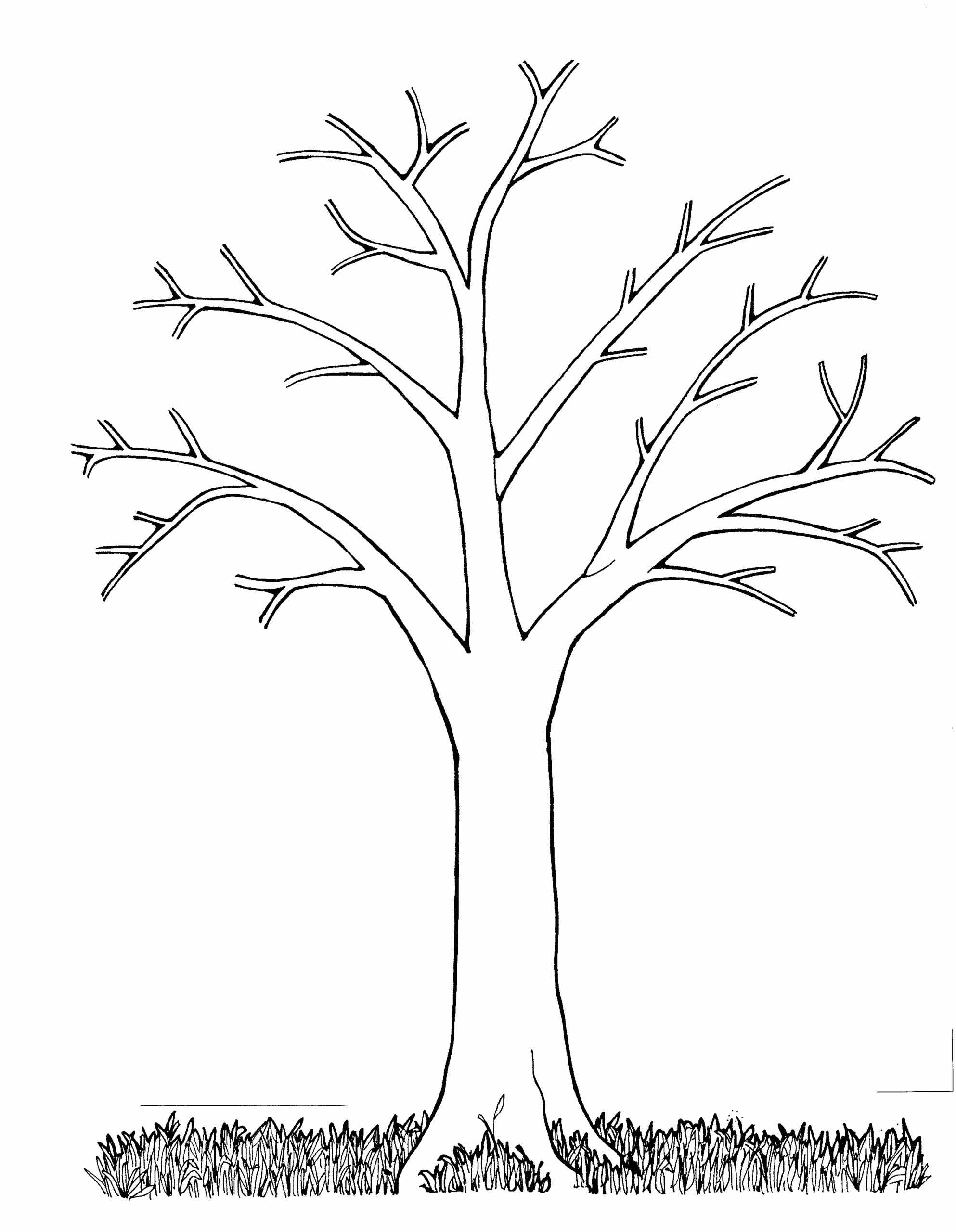 Tree Coloring Pages