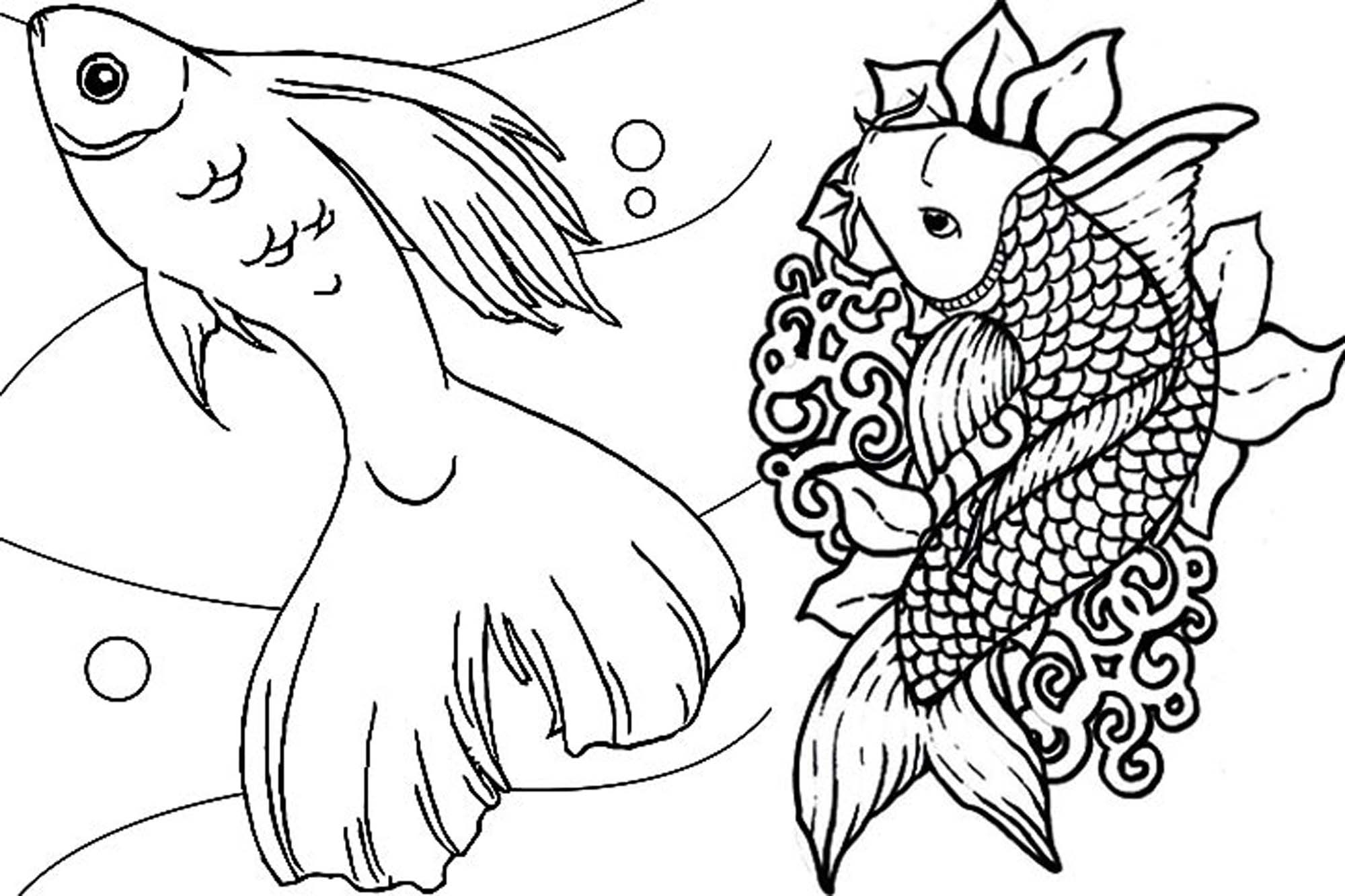 Bass Fish Coloring Pages