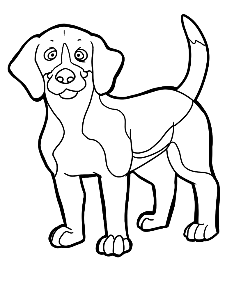 Beagle Coloring Pages To Download And Print For Free