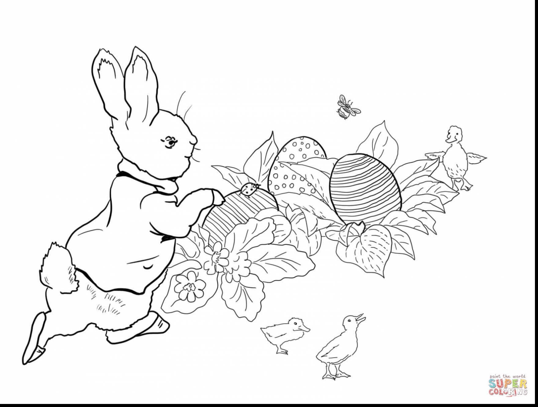Beatrix Potter Coloring Pages Printable