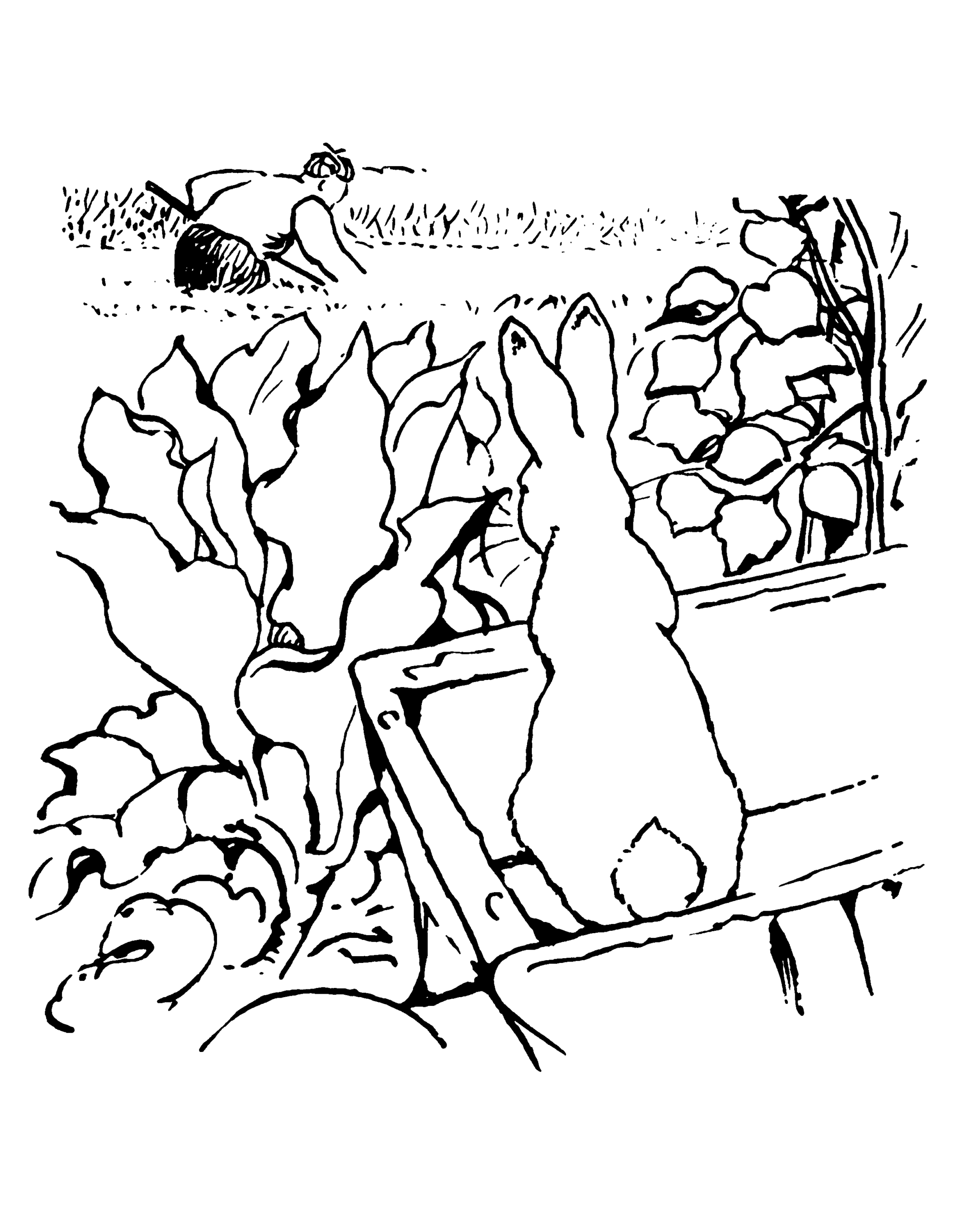 Beatrix Potter Coloring Pages At GetColorings Free Printable Colorings Pages To Print And