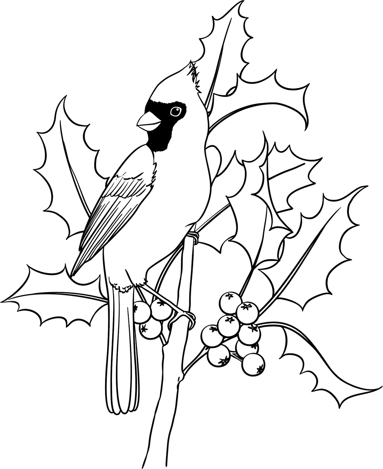 Christmas Bird Coloring Pages