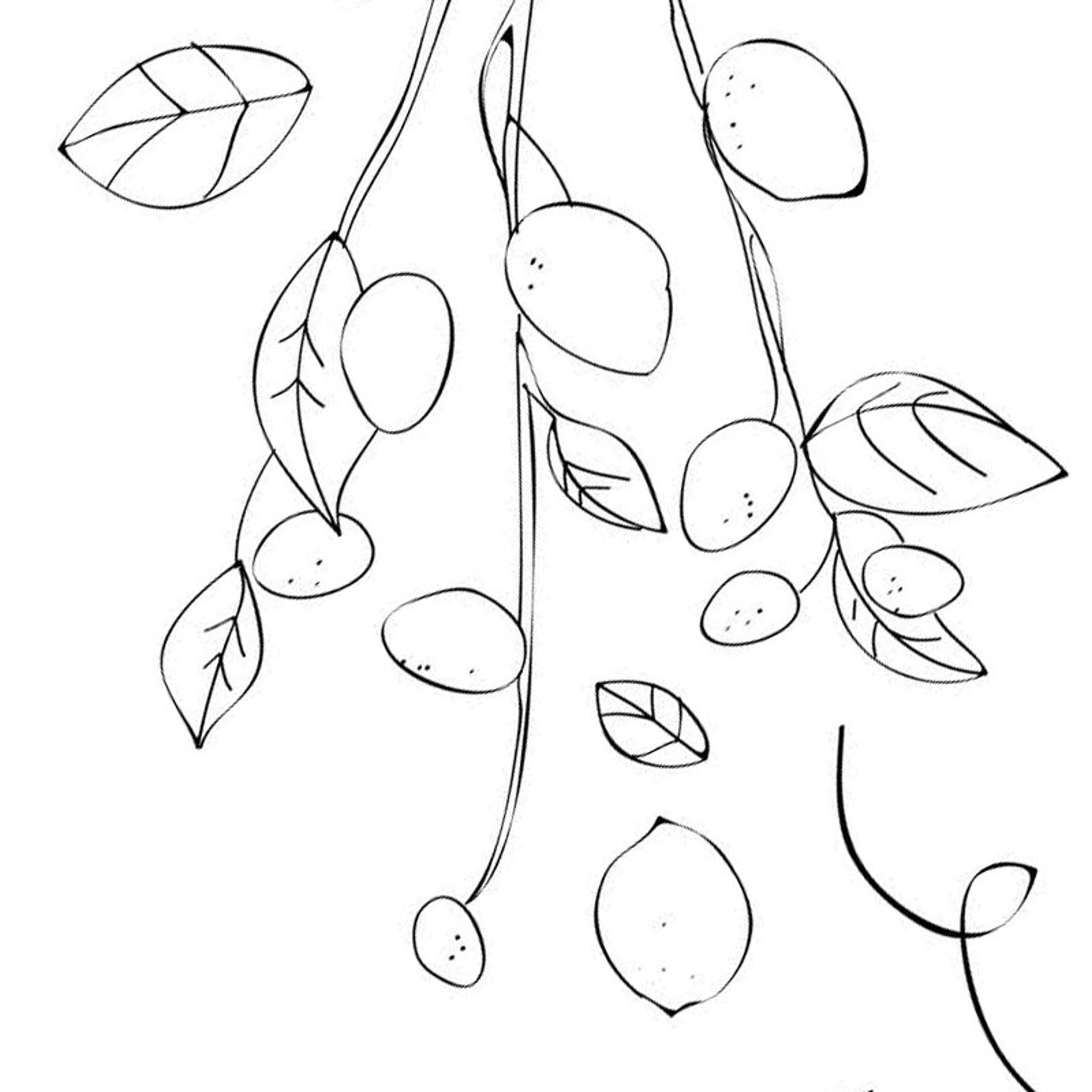Beyonce Lemonade Coloring Pages Printable