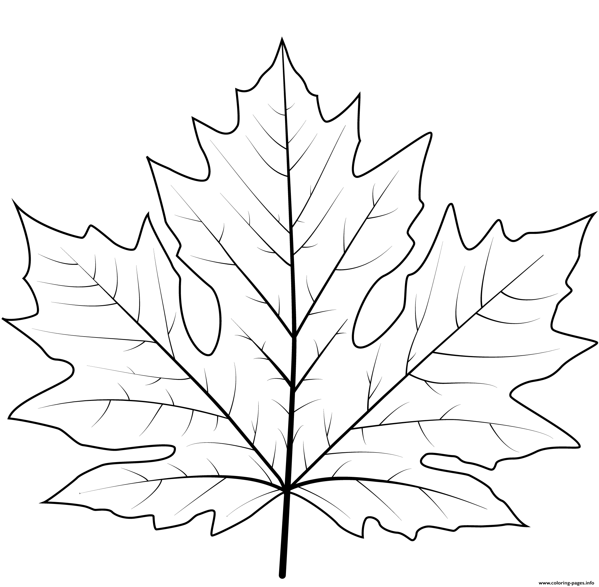 Big Leaf Coloring Pages Free Download Gmbar Co