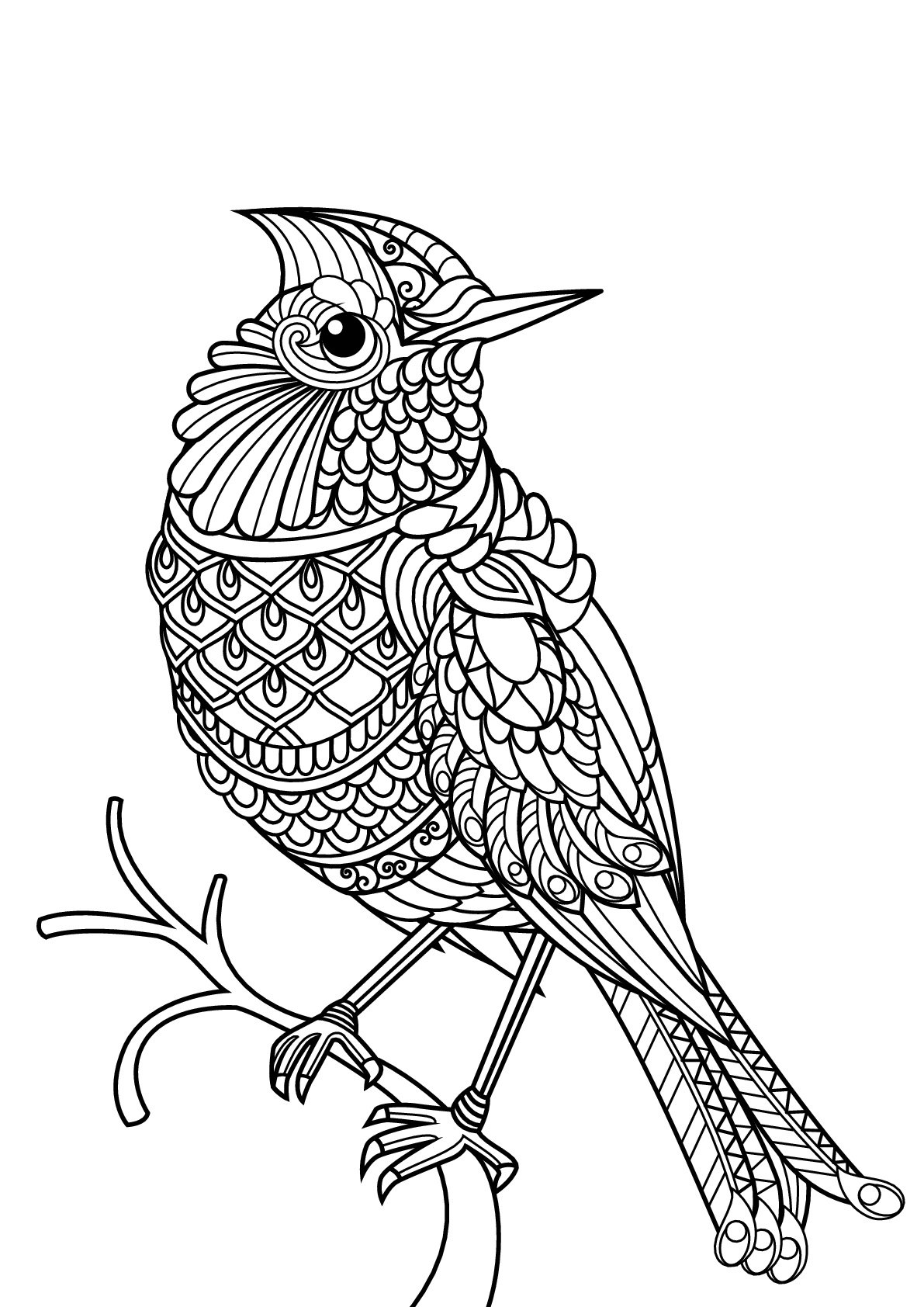 Bird Bird Coloring Pages For Kids