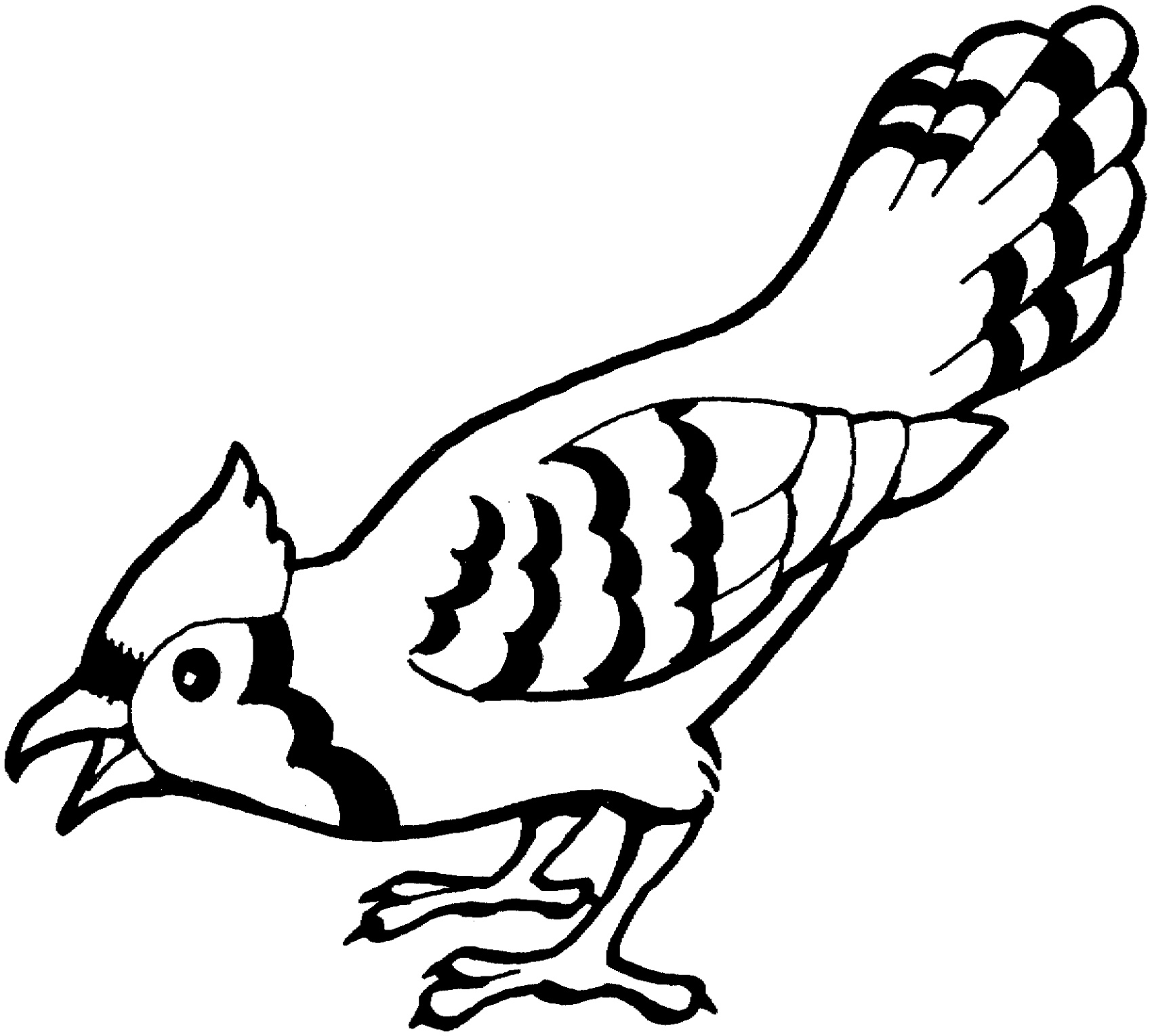 Bird Coloring Pages Flying K5 Worksheets